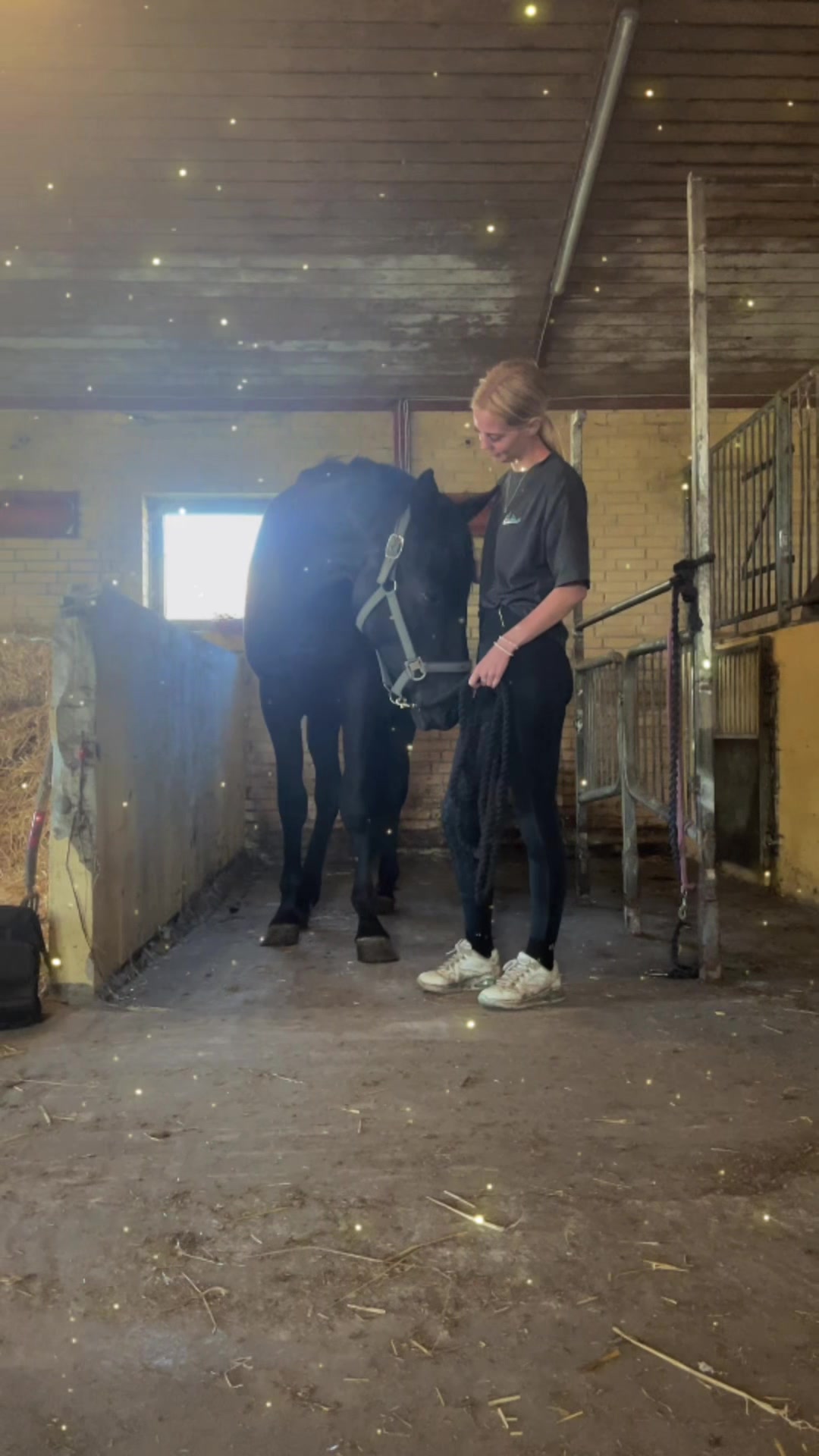 @rask_horses