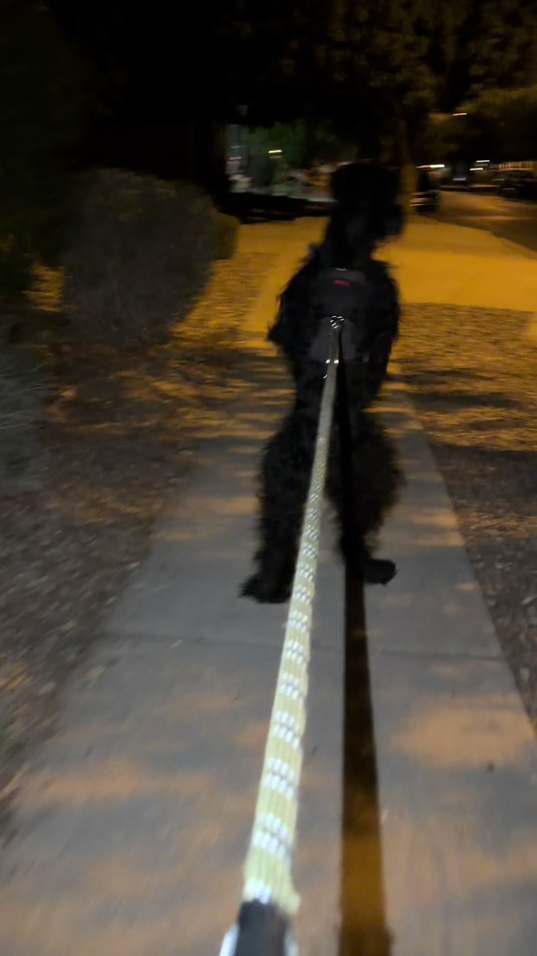@Fiona Walks