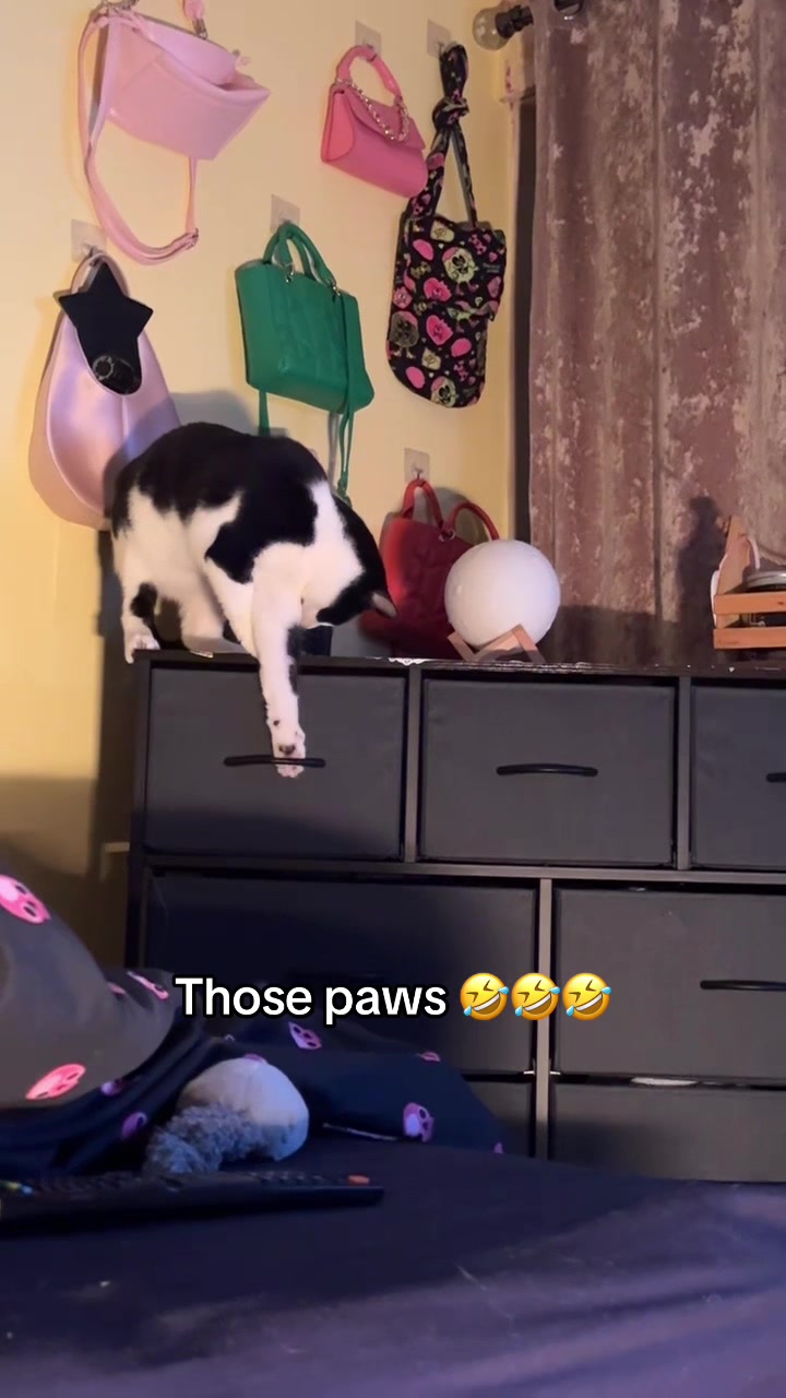 @Paigeyy