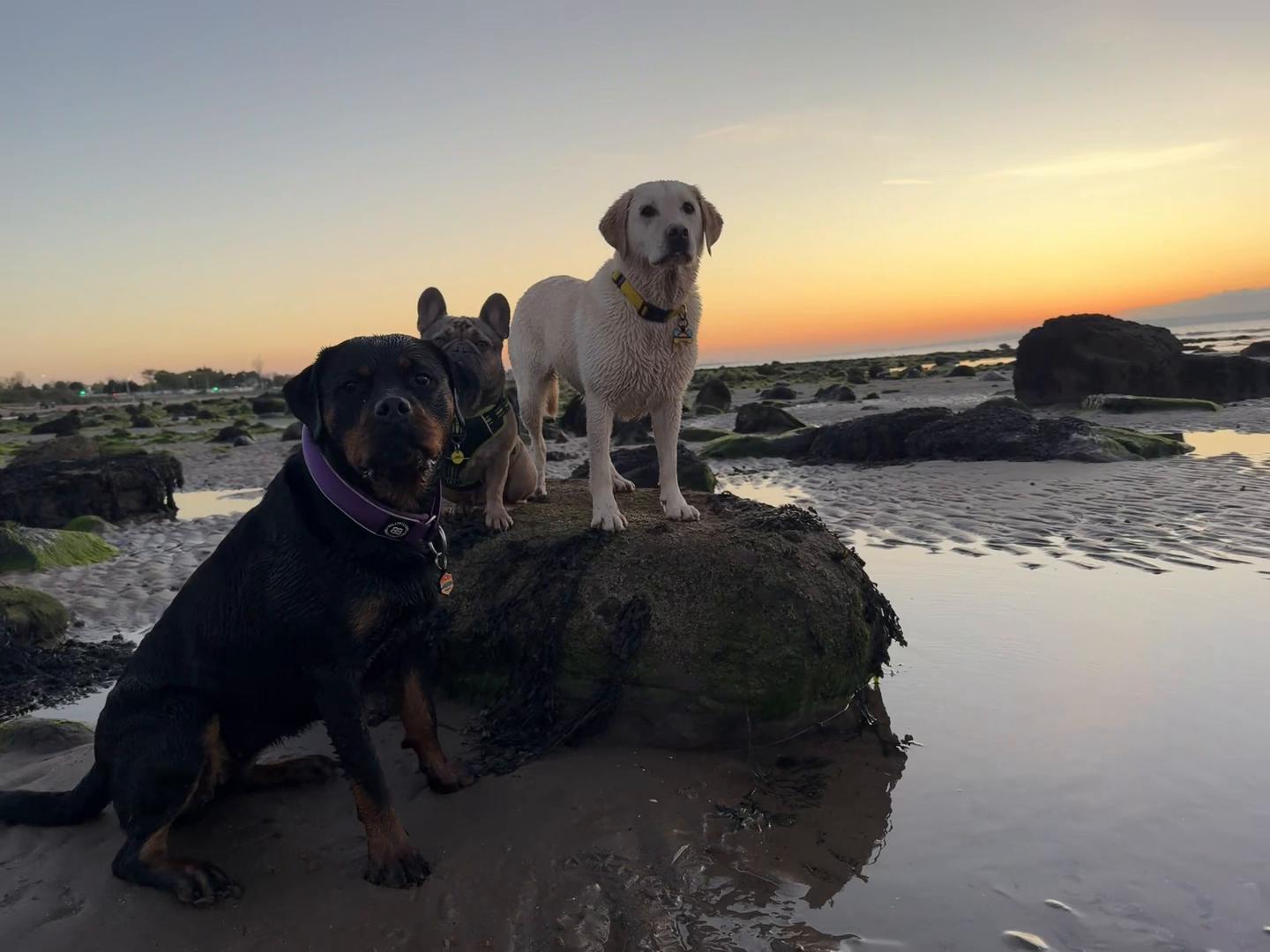 @Doozer_Sprocket_&_Fraggle