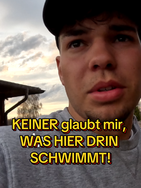 @Spinnbros