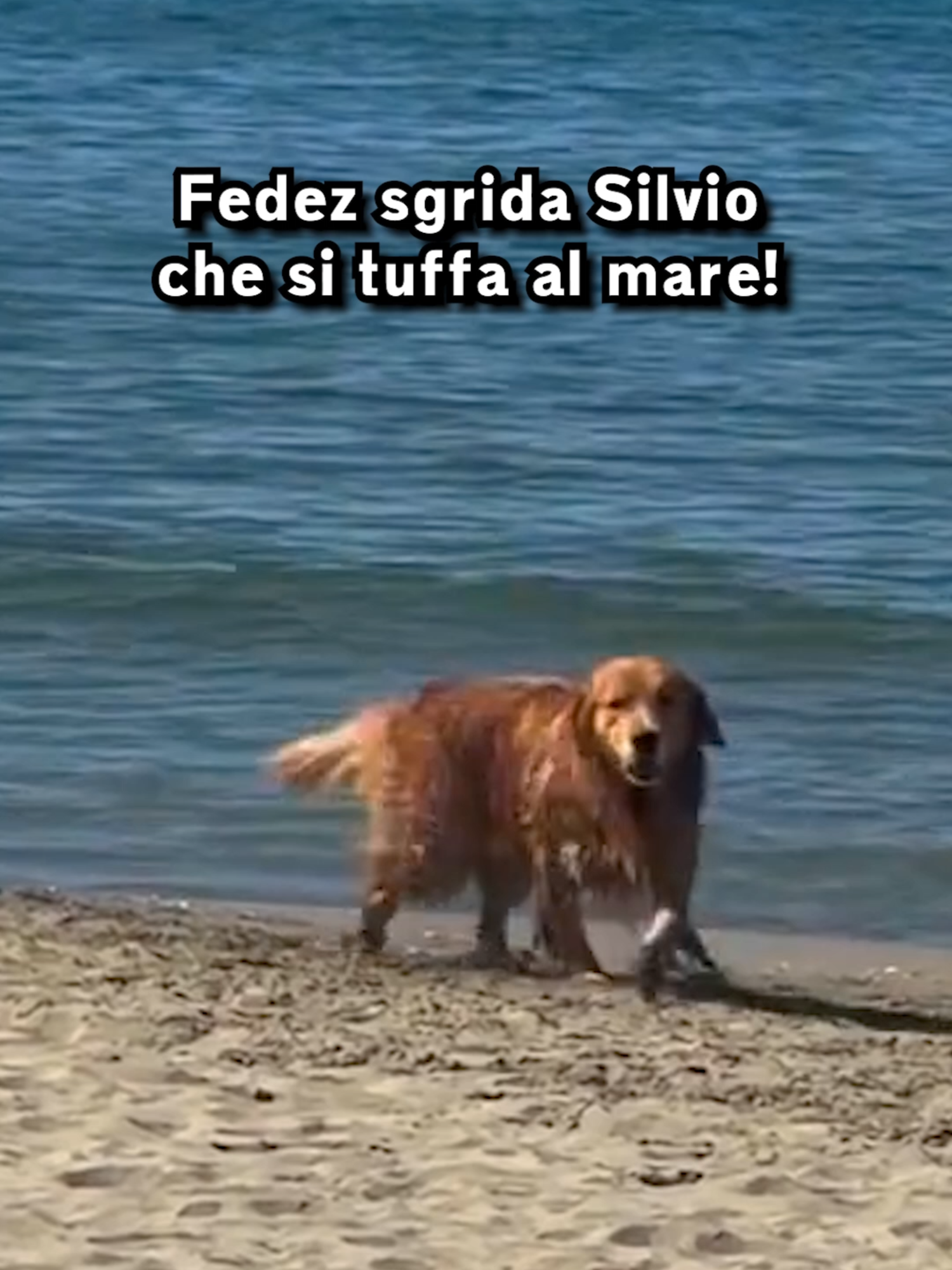 @PinoScosso