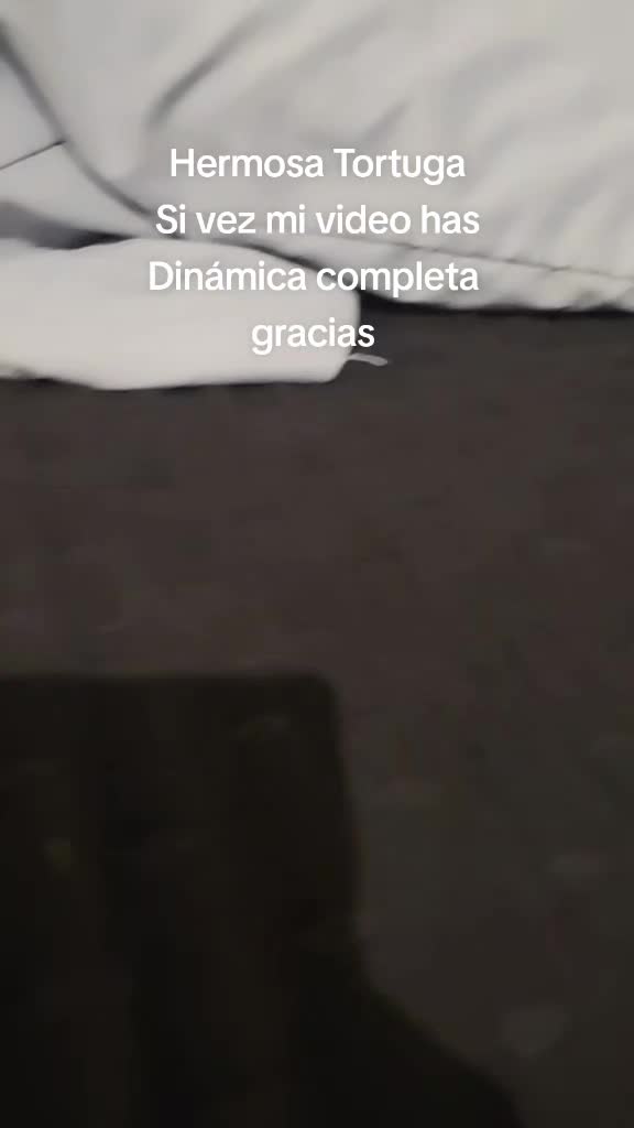 @tikitiki
