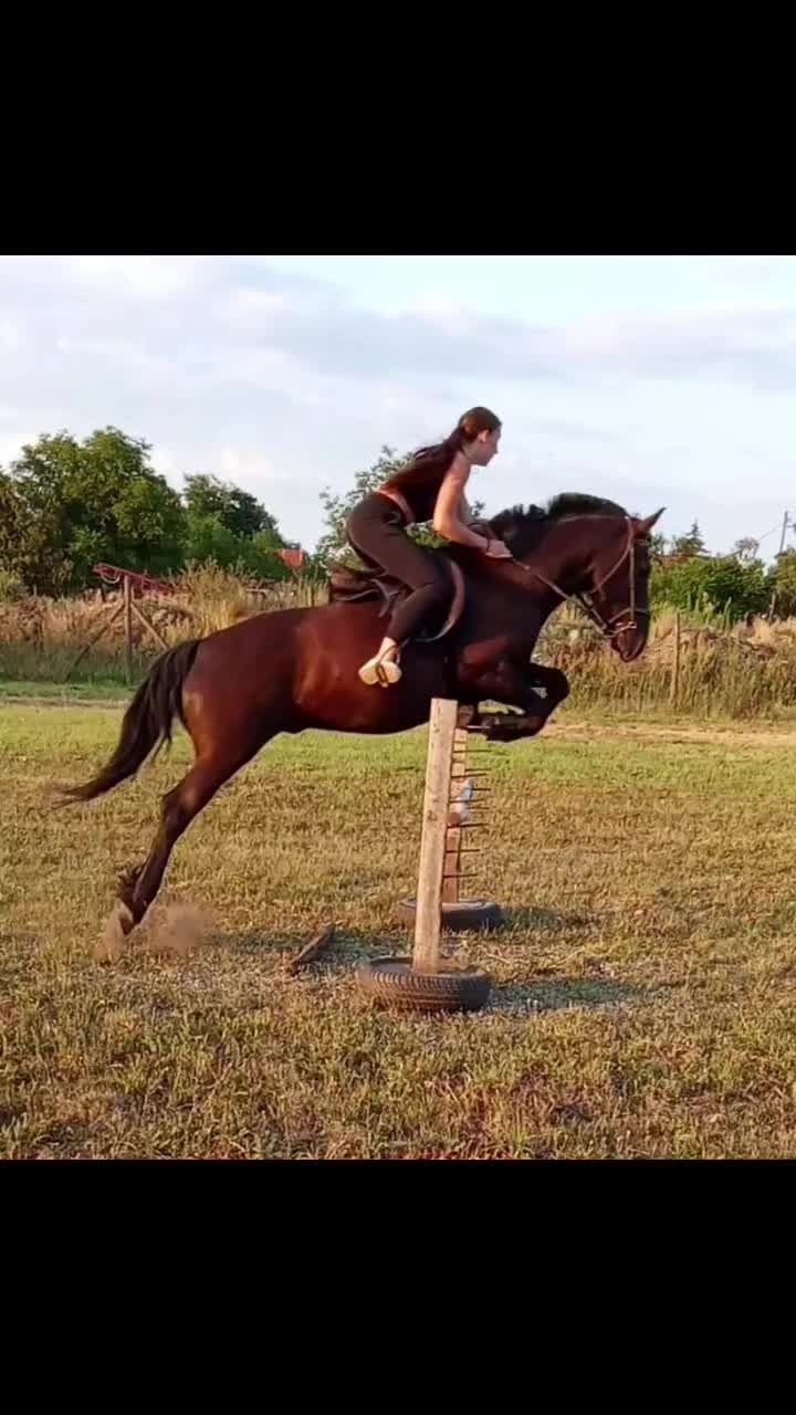 @𝓐𝓷𝓷𝓪👑