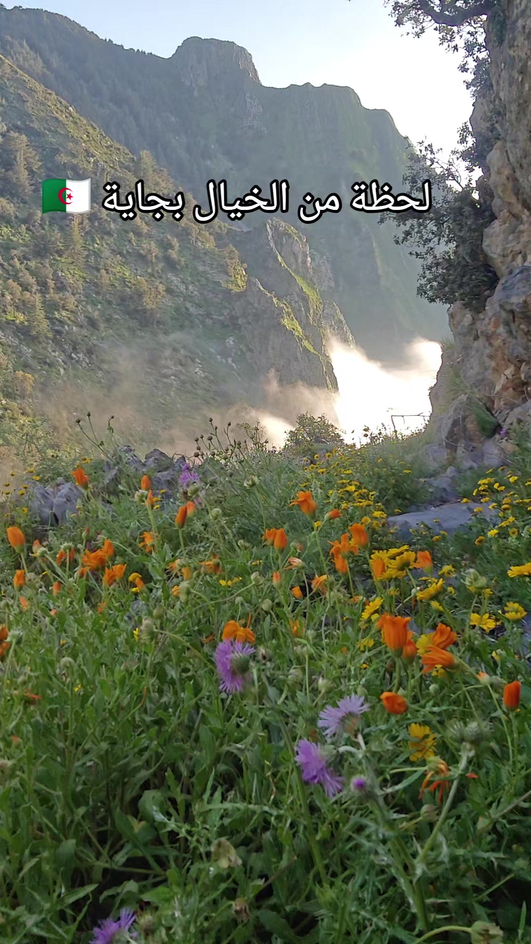 @Into the Wild