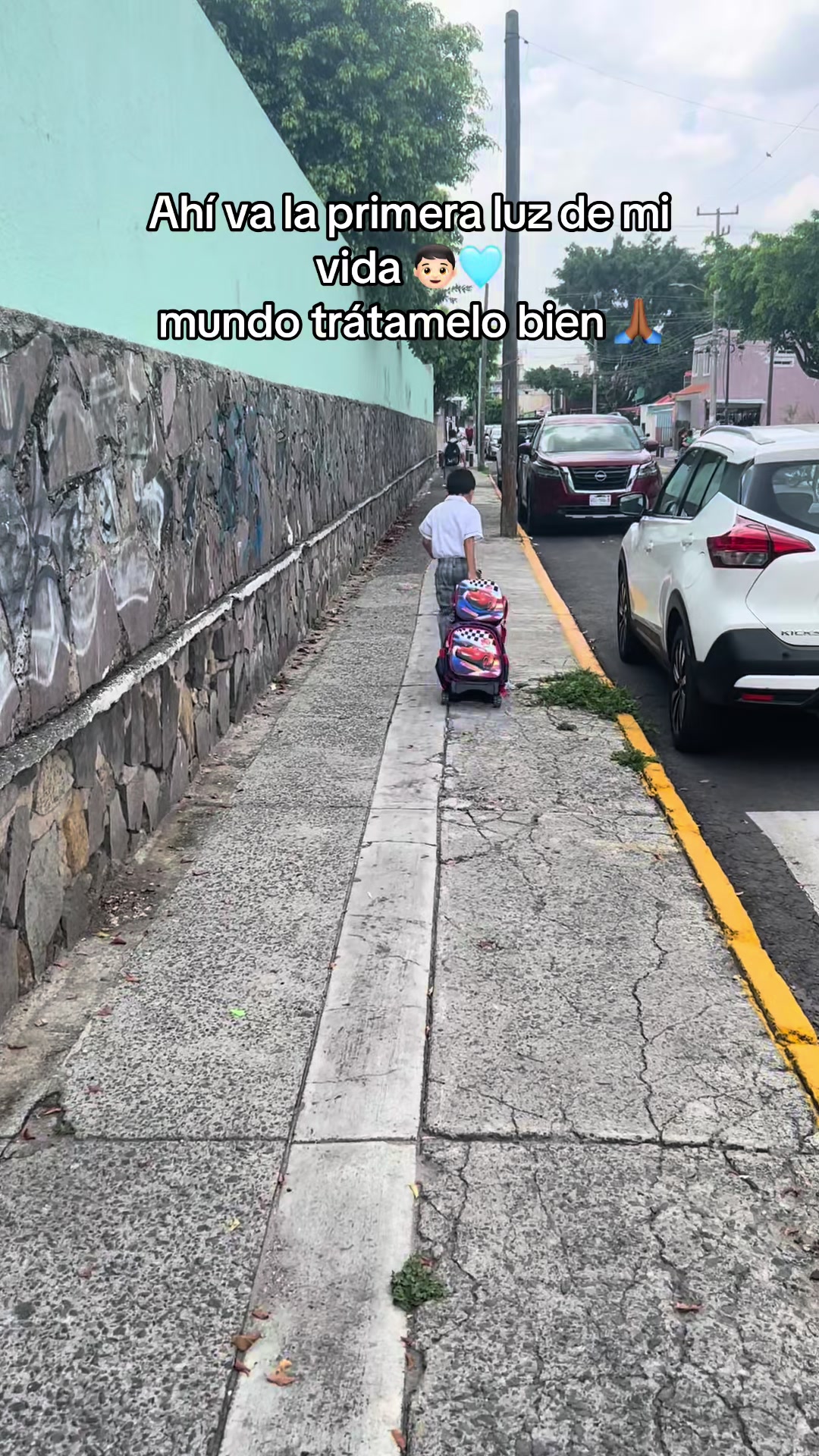 @Joselyn Ruvalcaba Plata