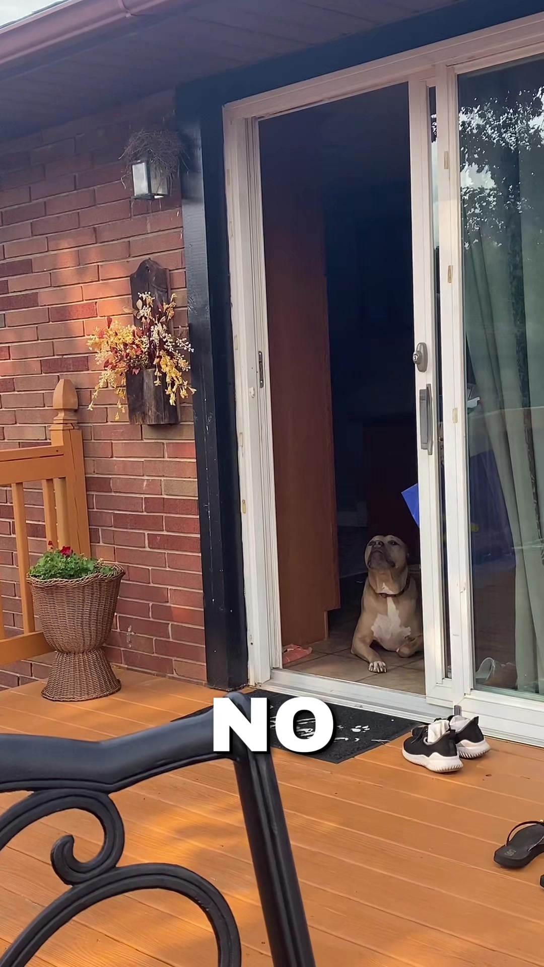 @Heather & Rocky 🐾💕