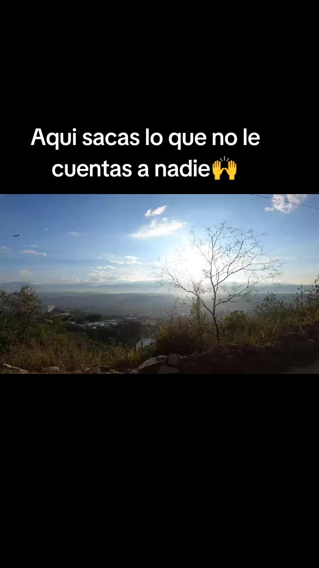 @Diana Carolina Curcio