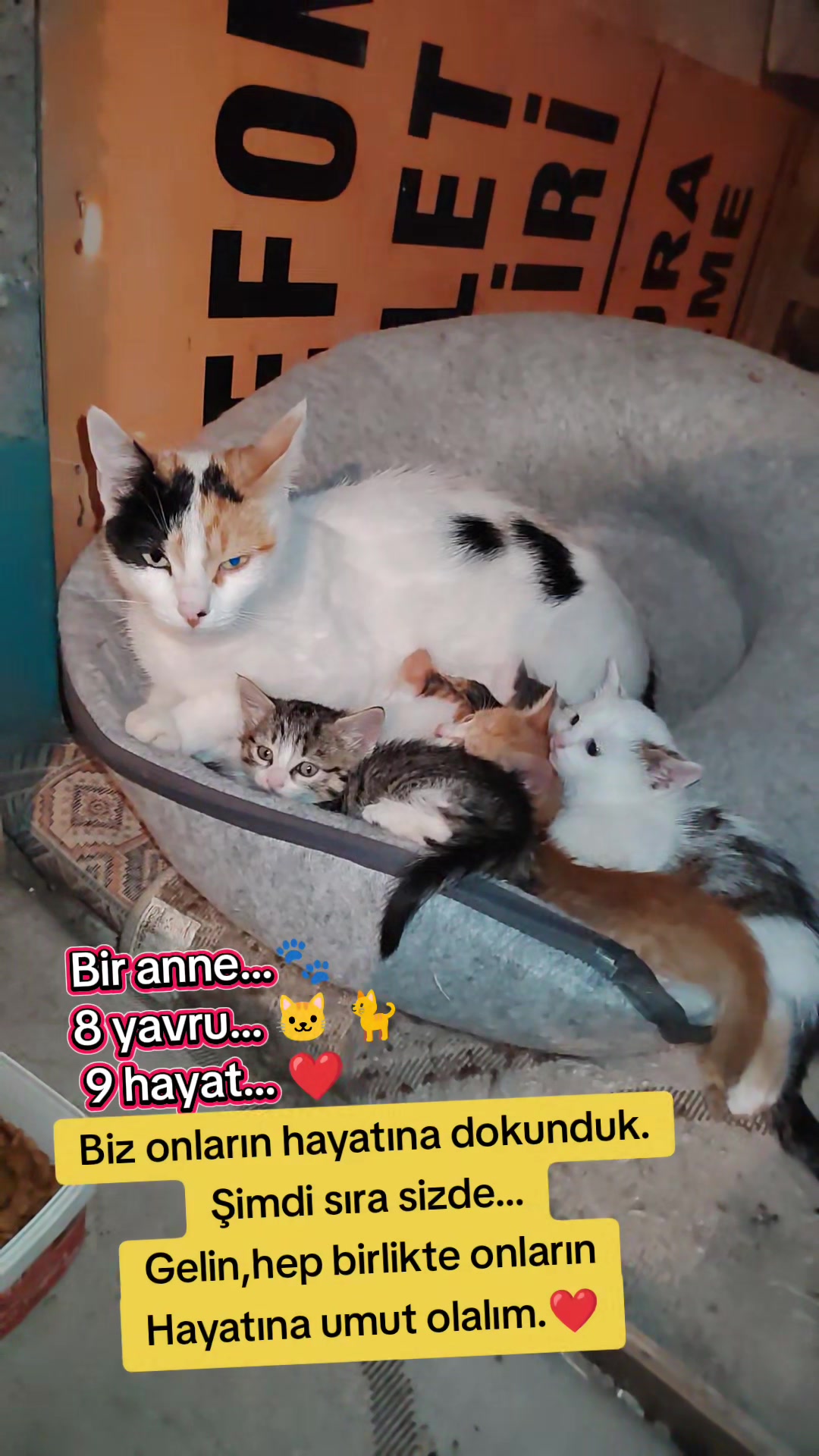 @Esma Er
