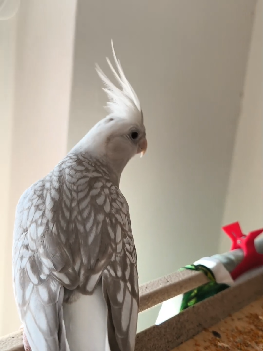 @🐦Eva Maria Vráblíková 🐕
