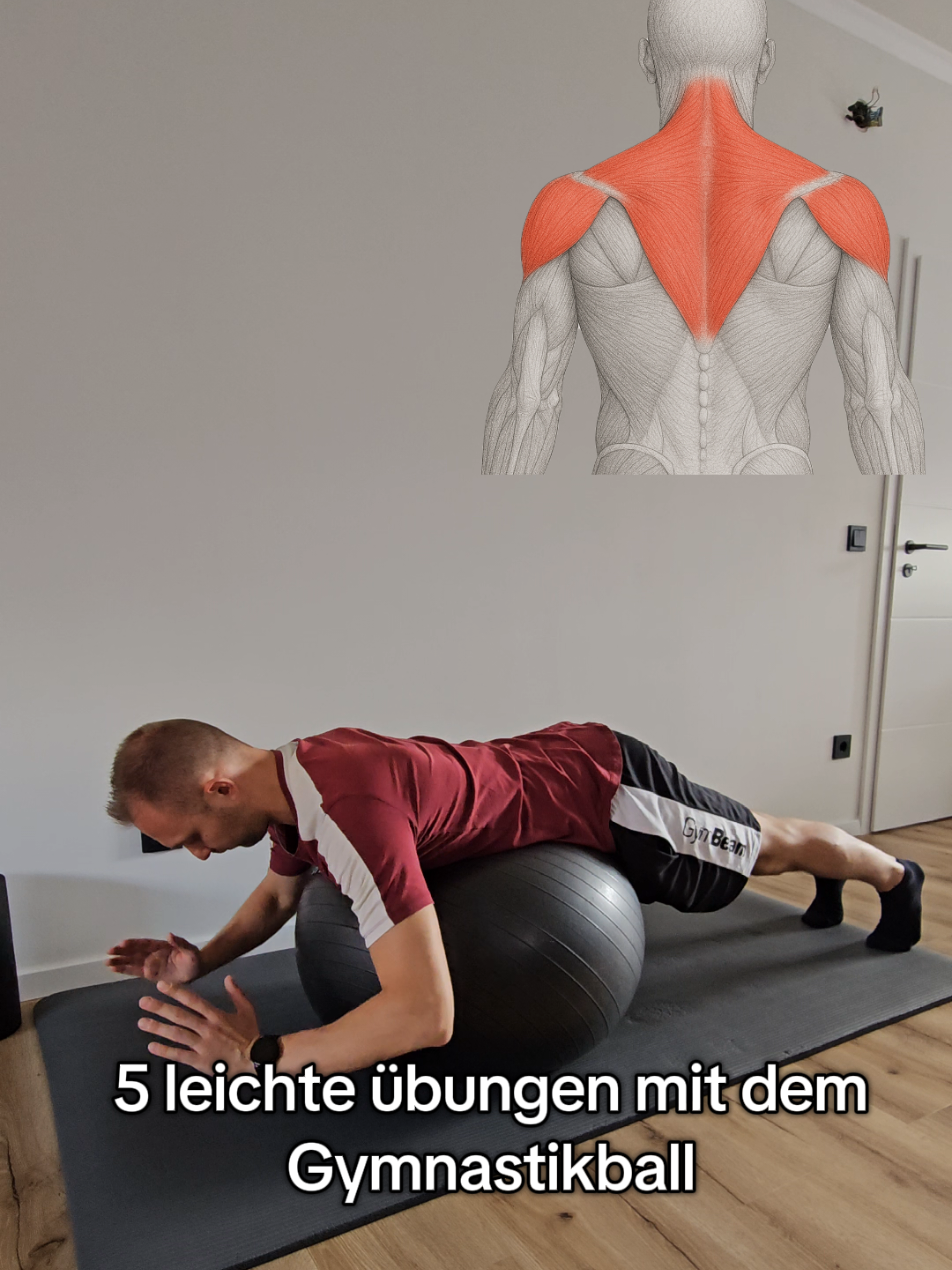 @Coachfitalex