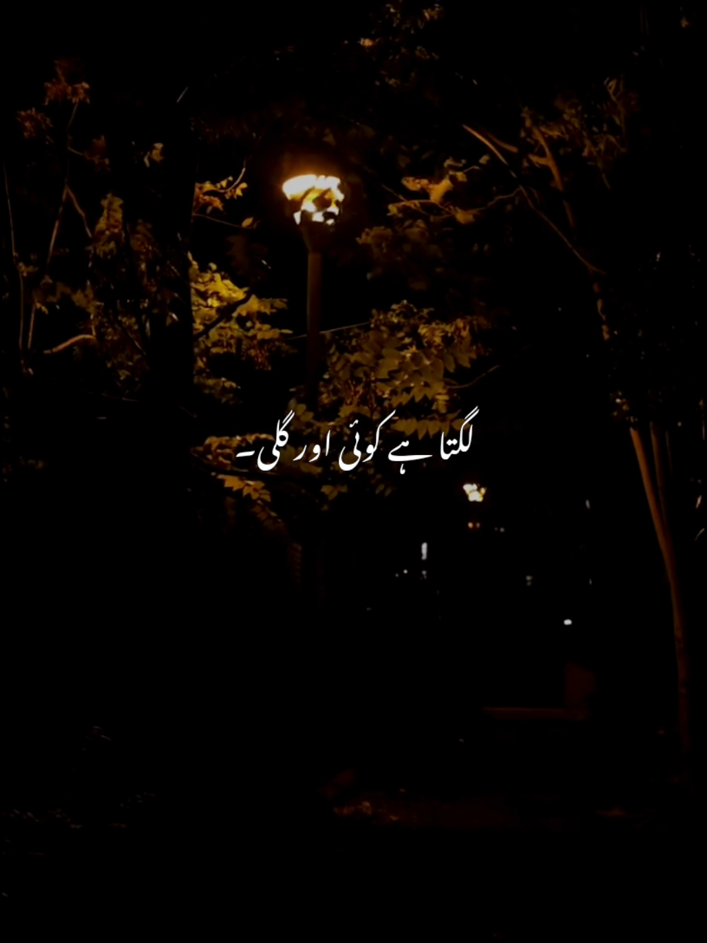 @𝘼𝙐𝙉 𝙓 𝙀𝘿𝙄𝙏𝙕