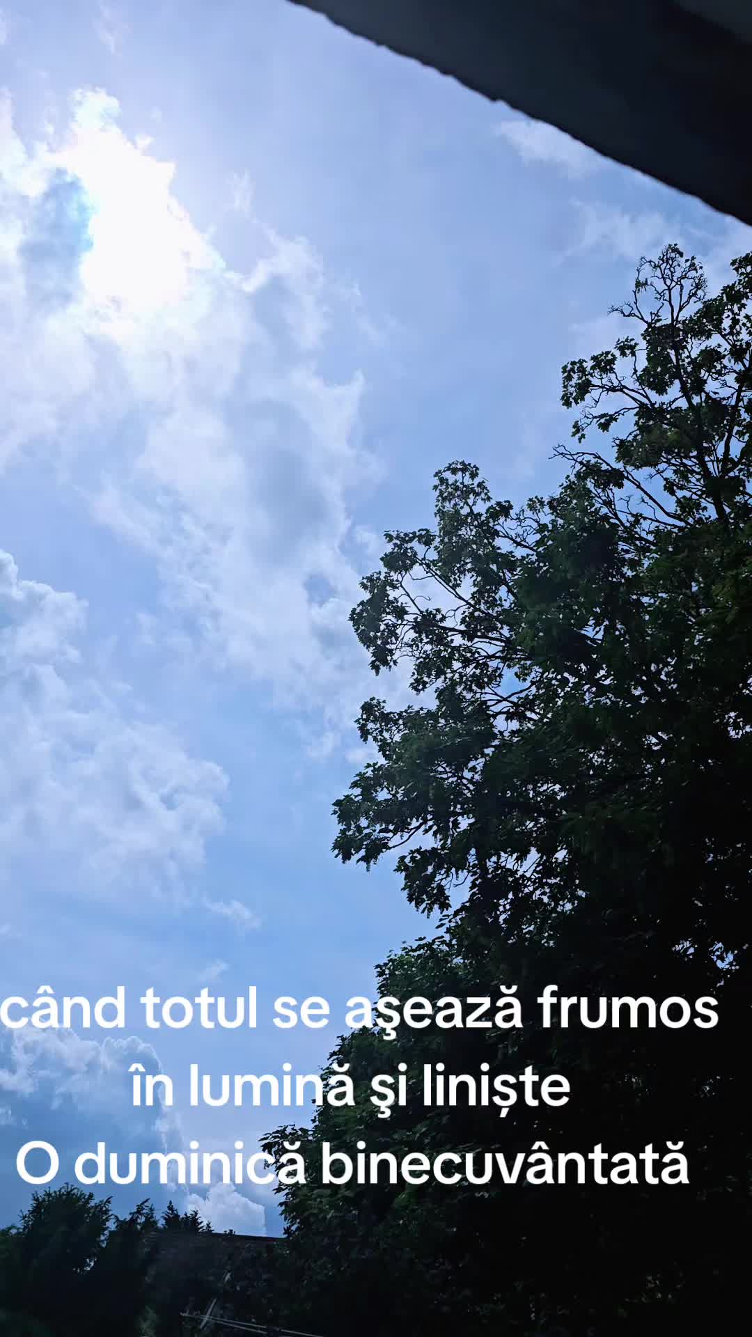 @Dolhescu Andre