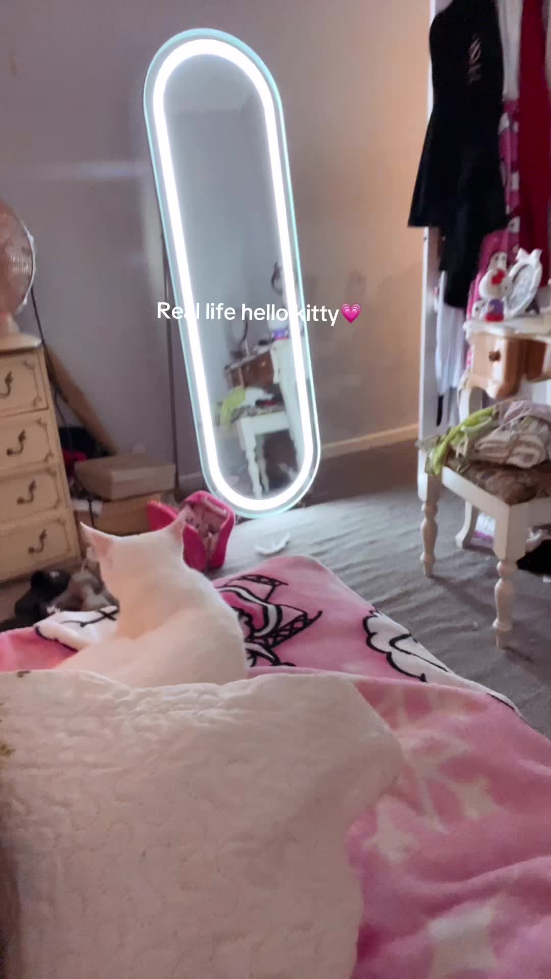 @gracierosedavies_19