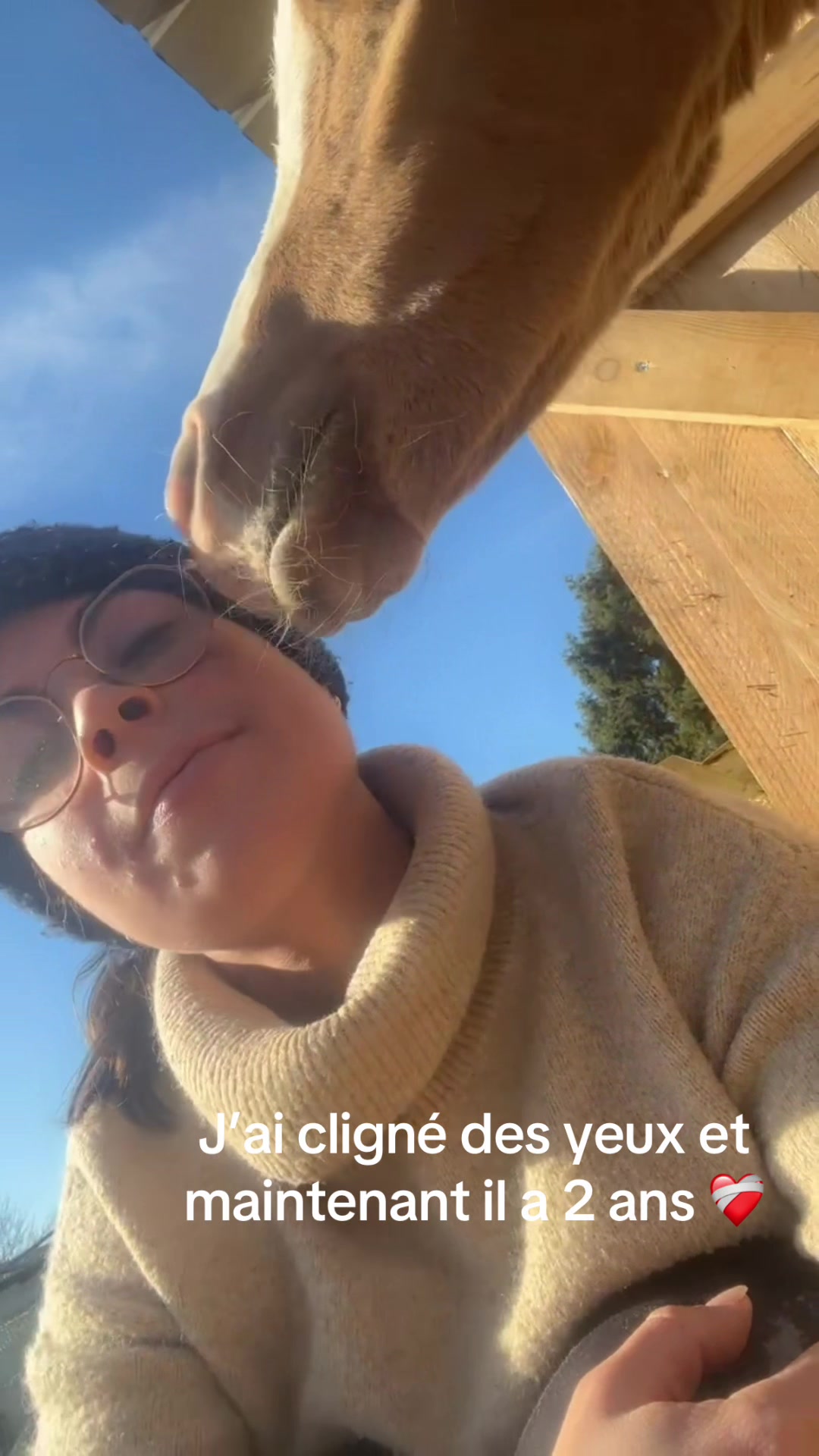 @lulu.et.sa.troupe