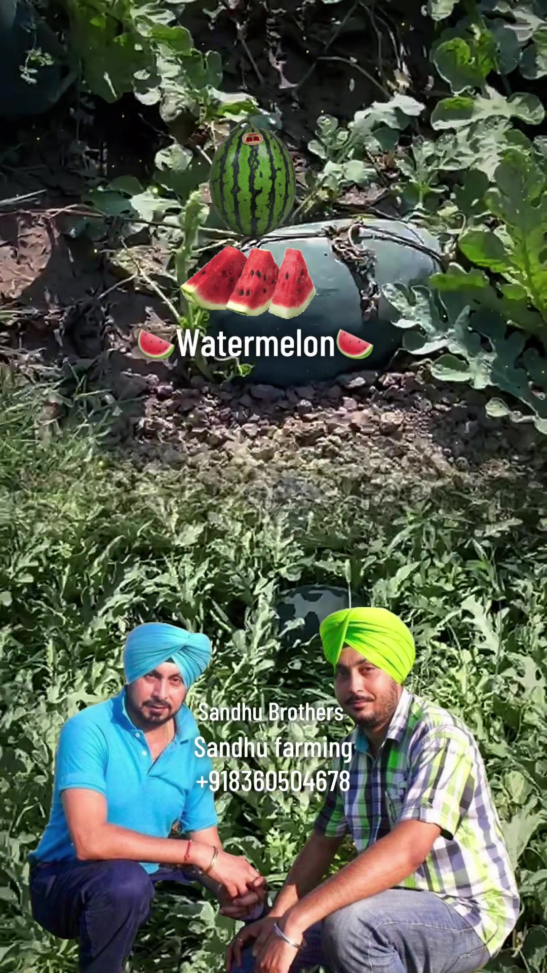 @ਮੌਜੀ (all rounder)