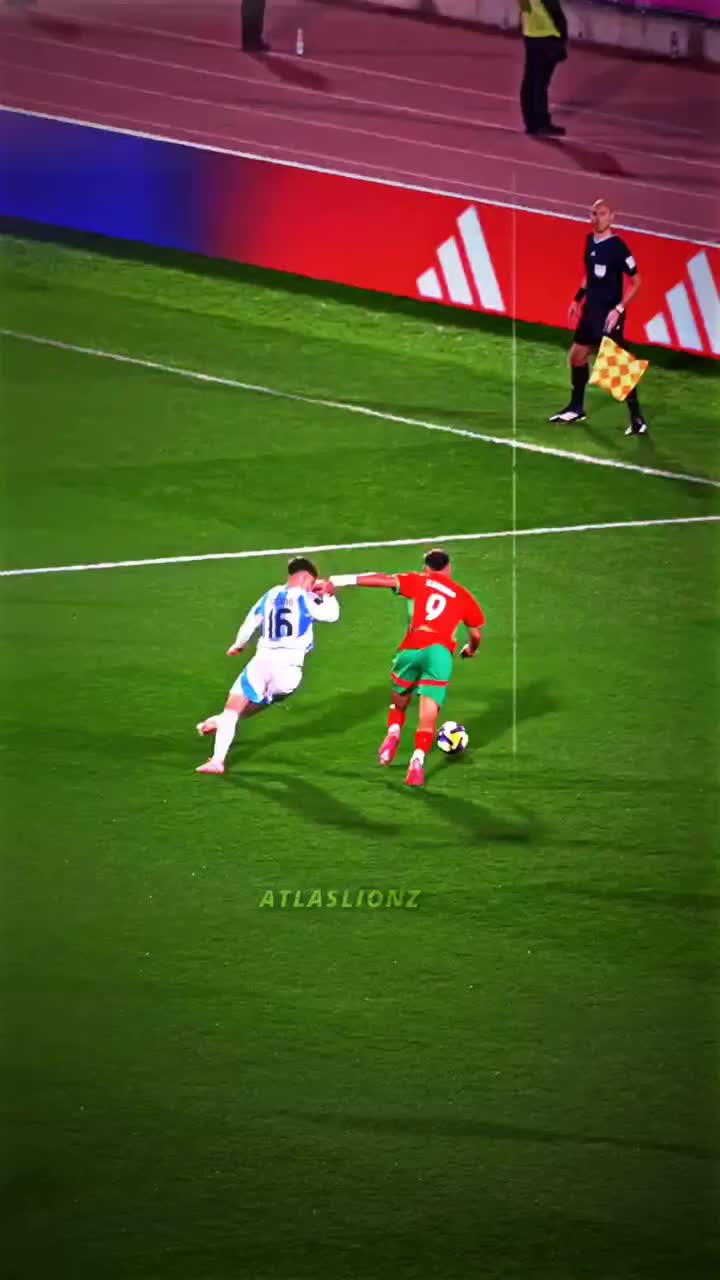 @اسود الاطلس | Atlaslions