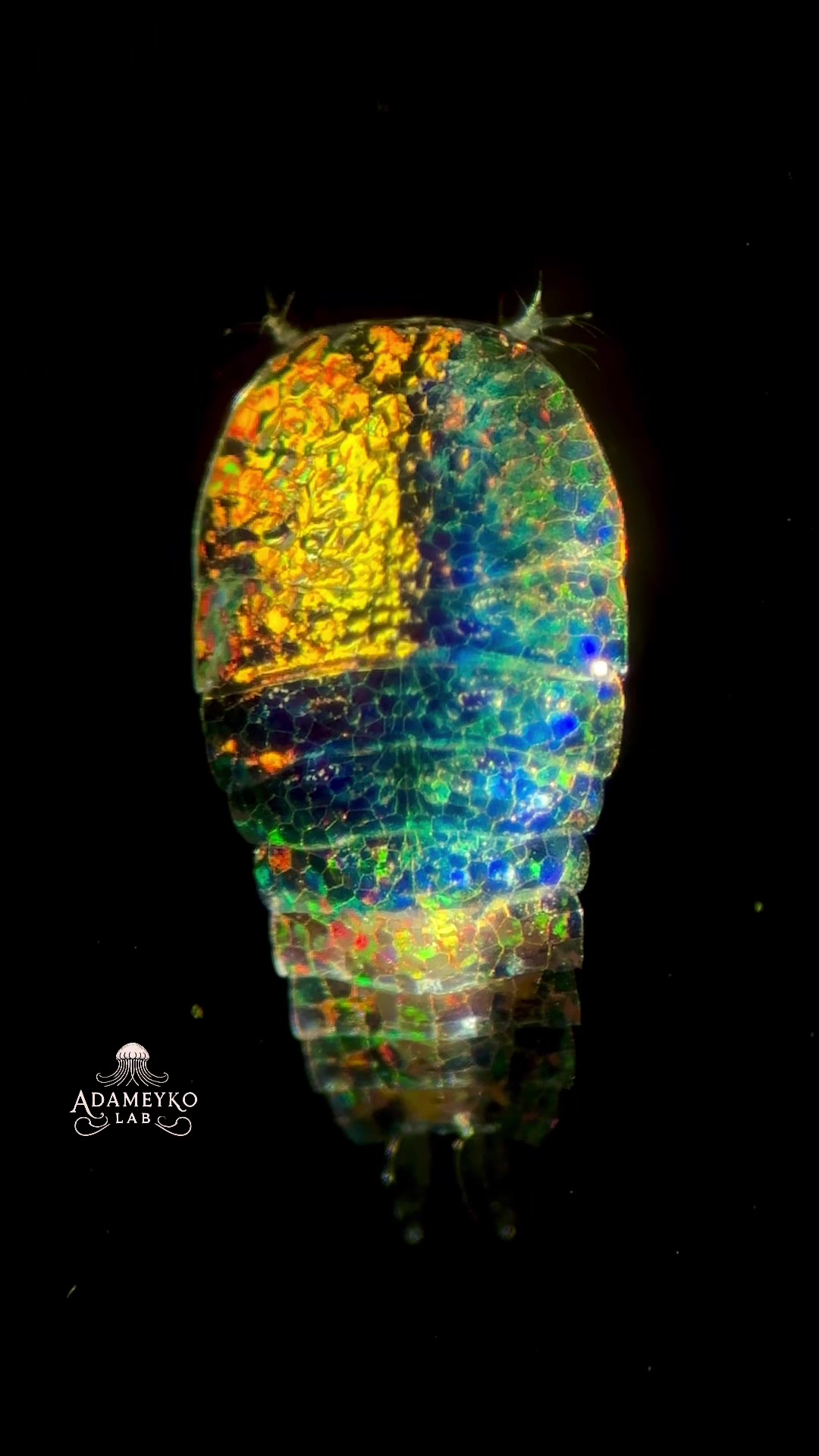 @The_story_of_a_biologist