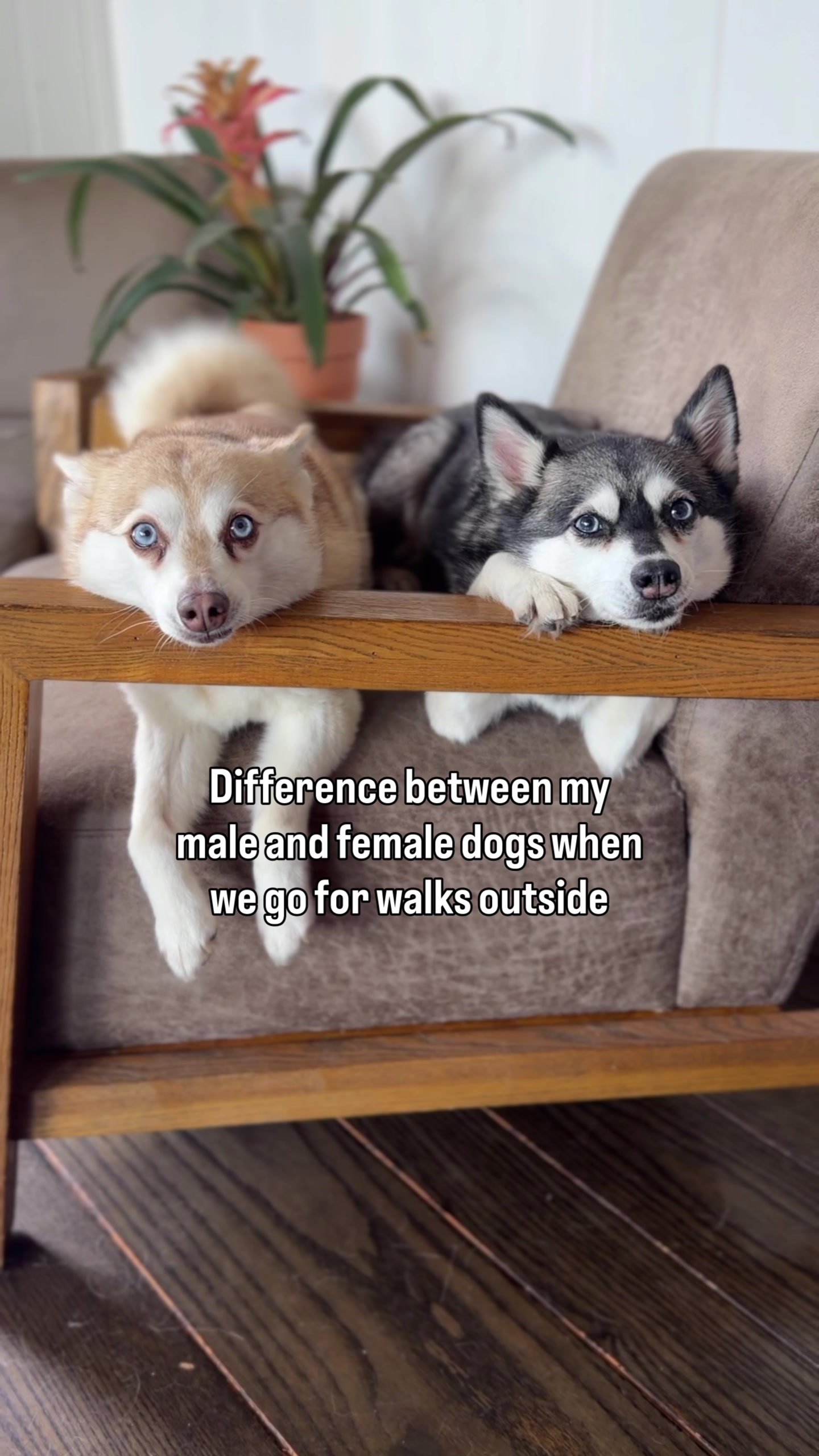 @lifewithkleekai