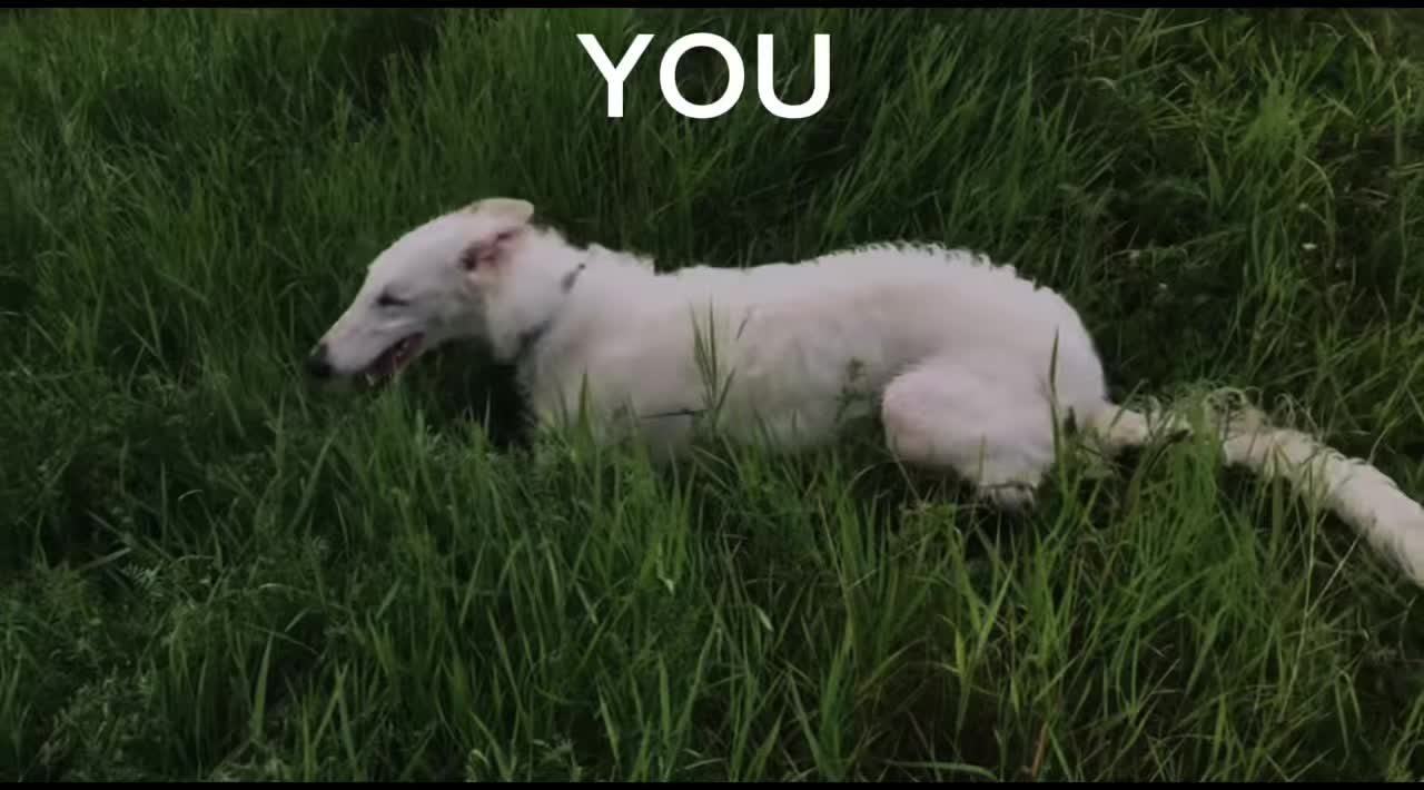 @lou lou