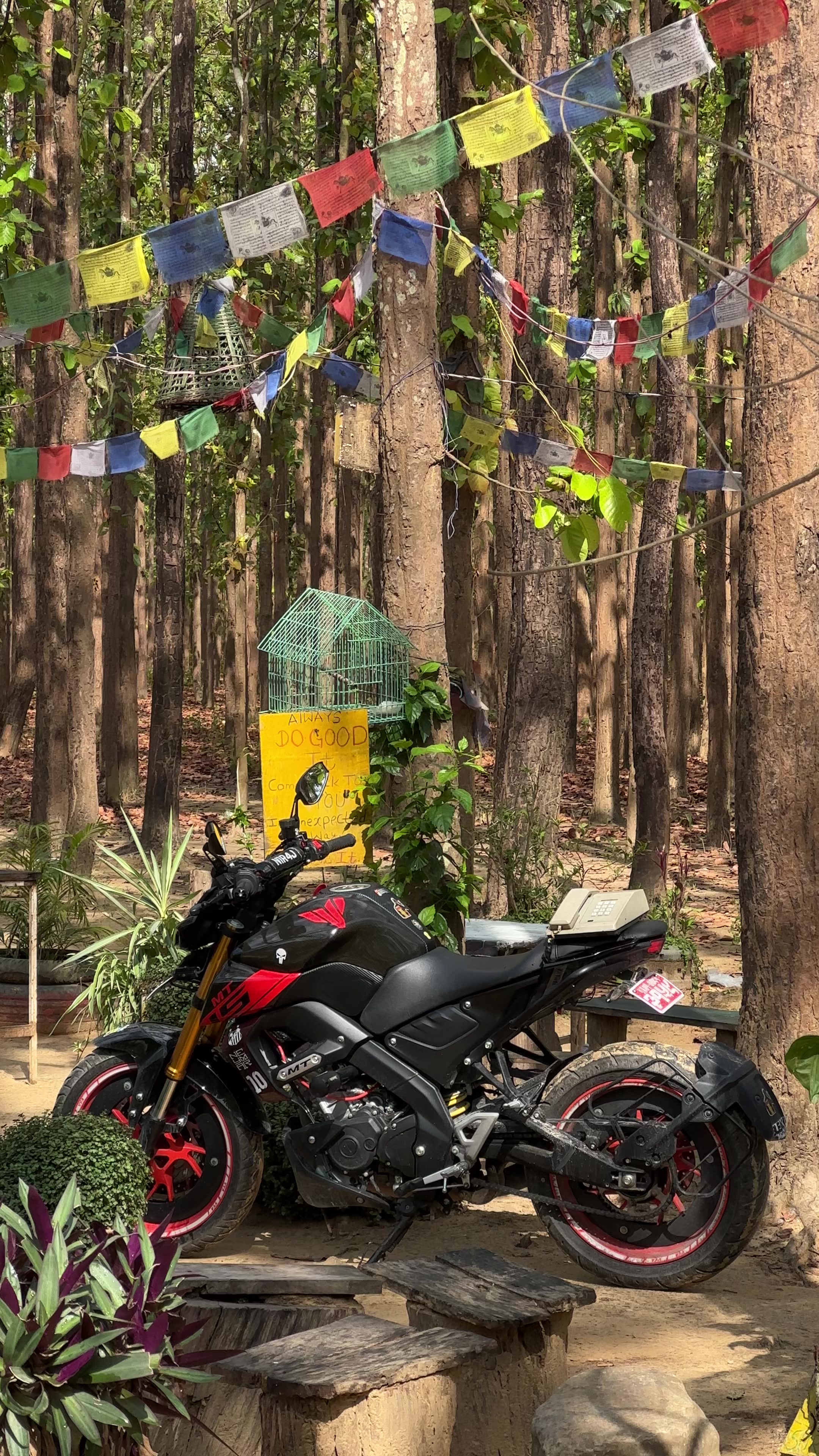 @niraj.pokharel_
