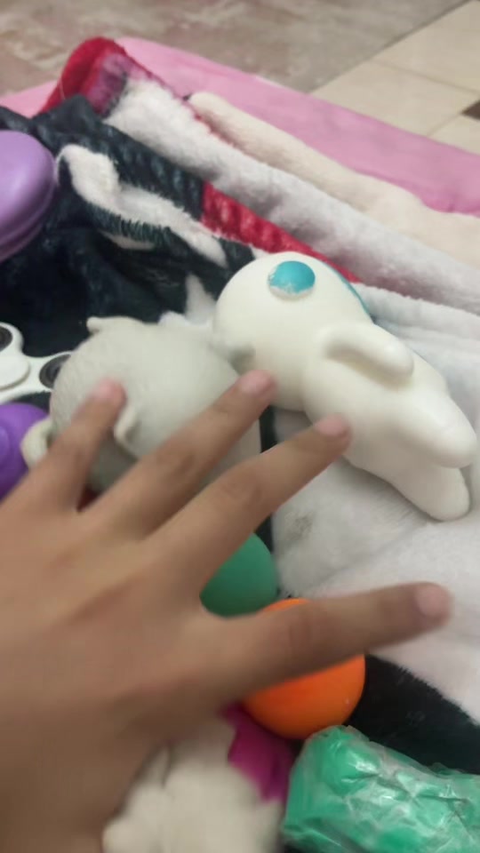 @aljazi5252