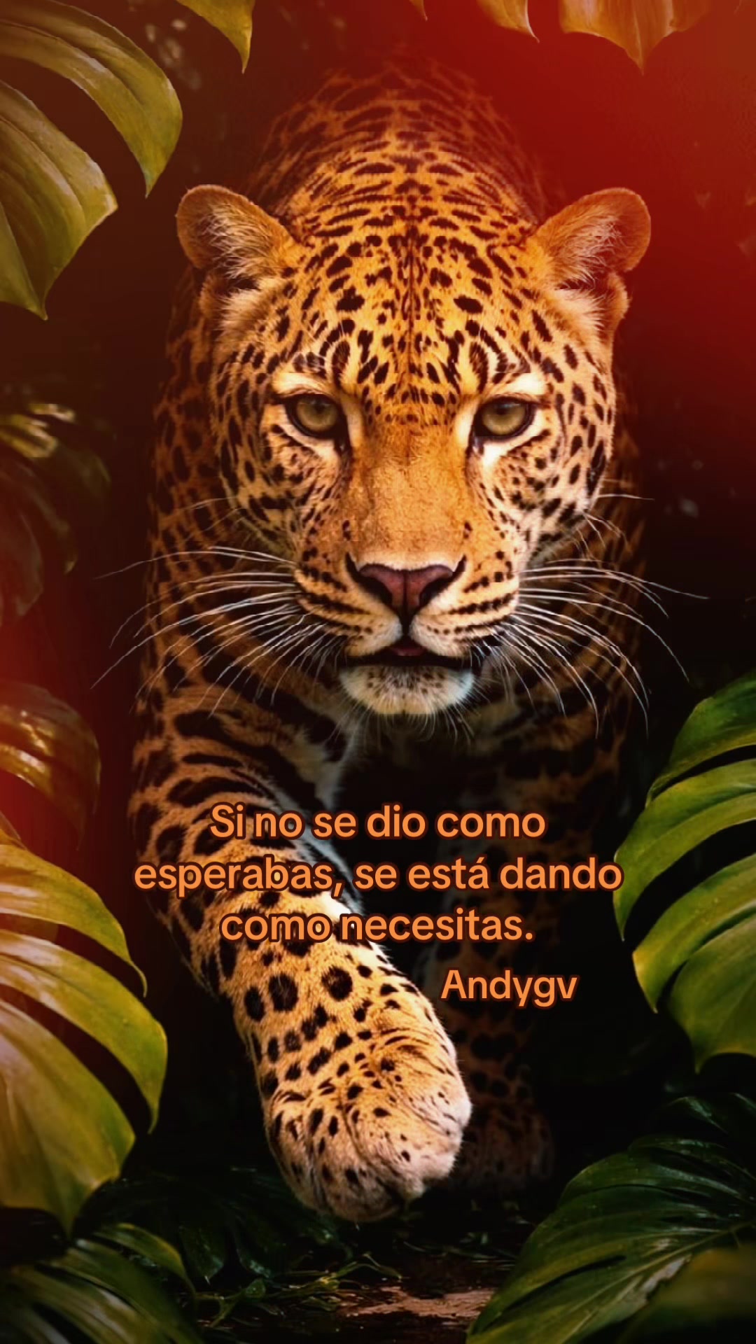 @Andy_saranj&eacute;