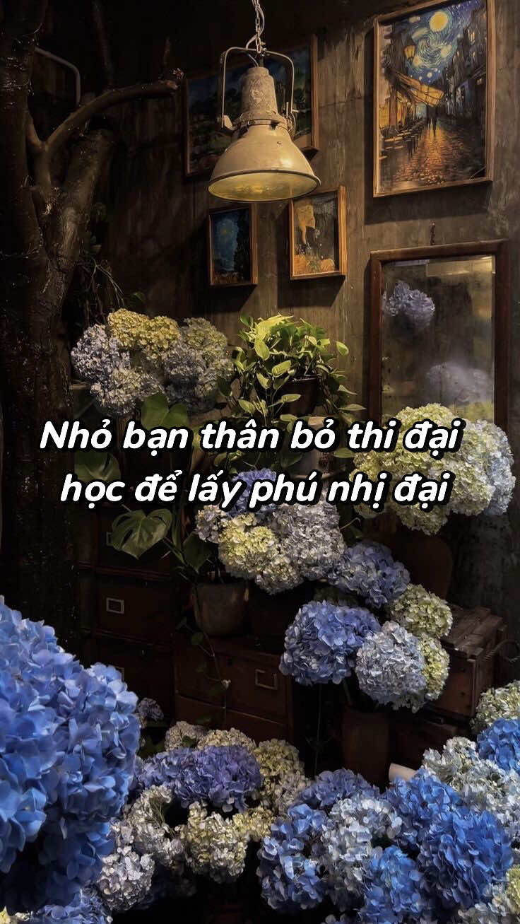@Bạch Lang Audio🌷
