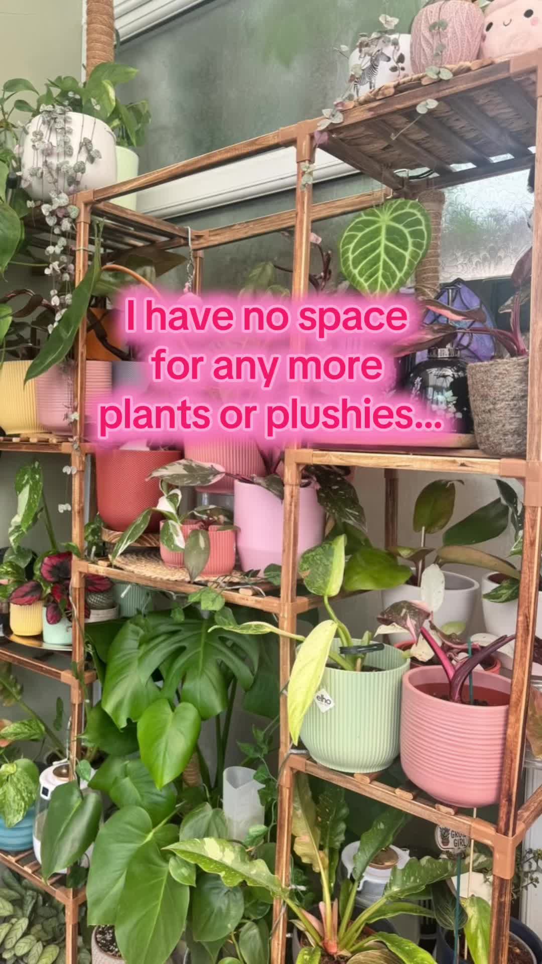 @ash - onlyplants 🌸