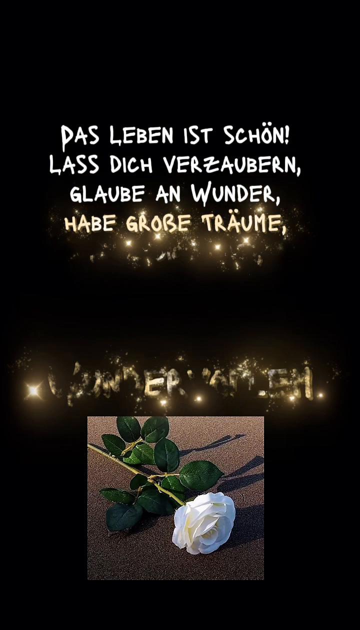 @_einfach_erfolgreich_🚀