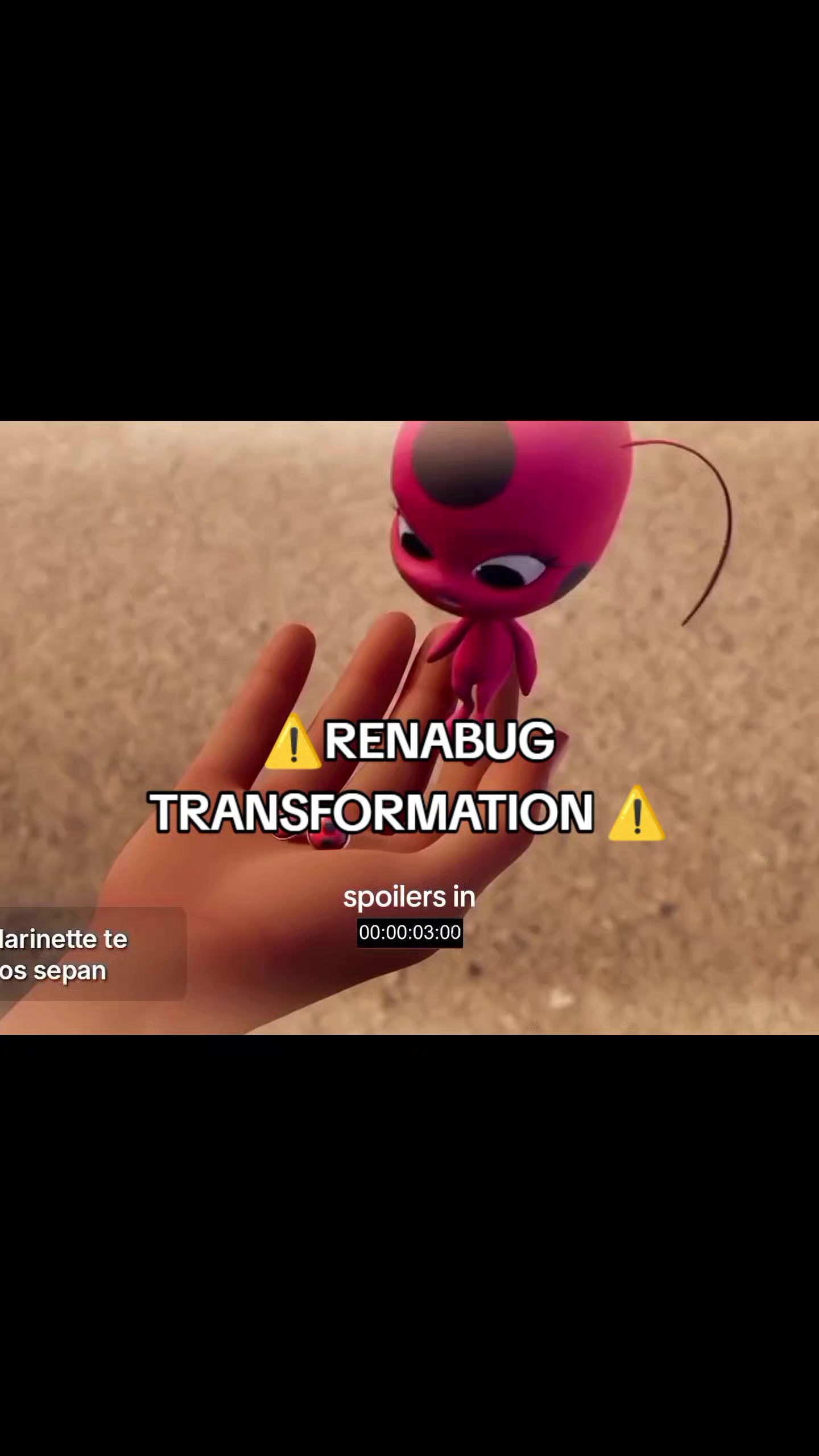 @angeel