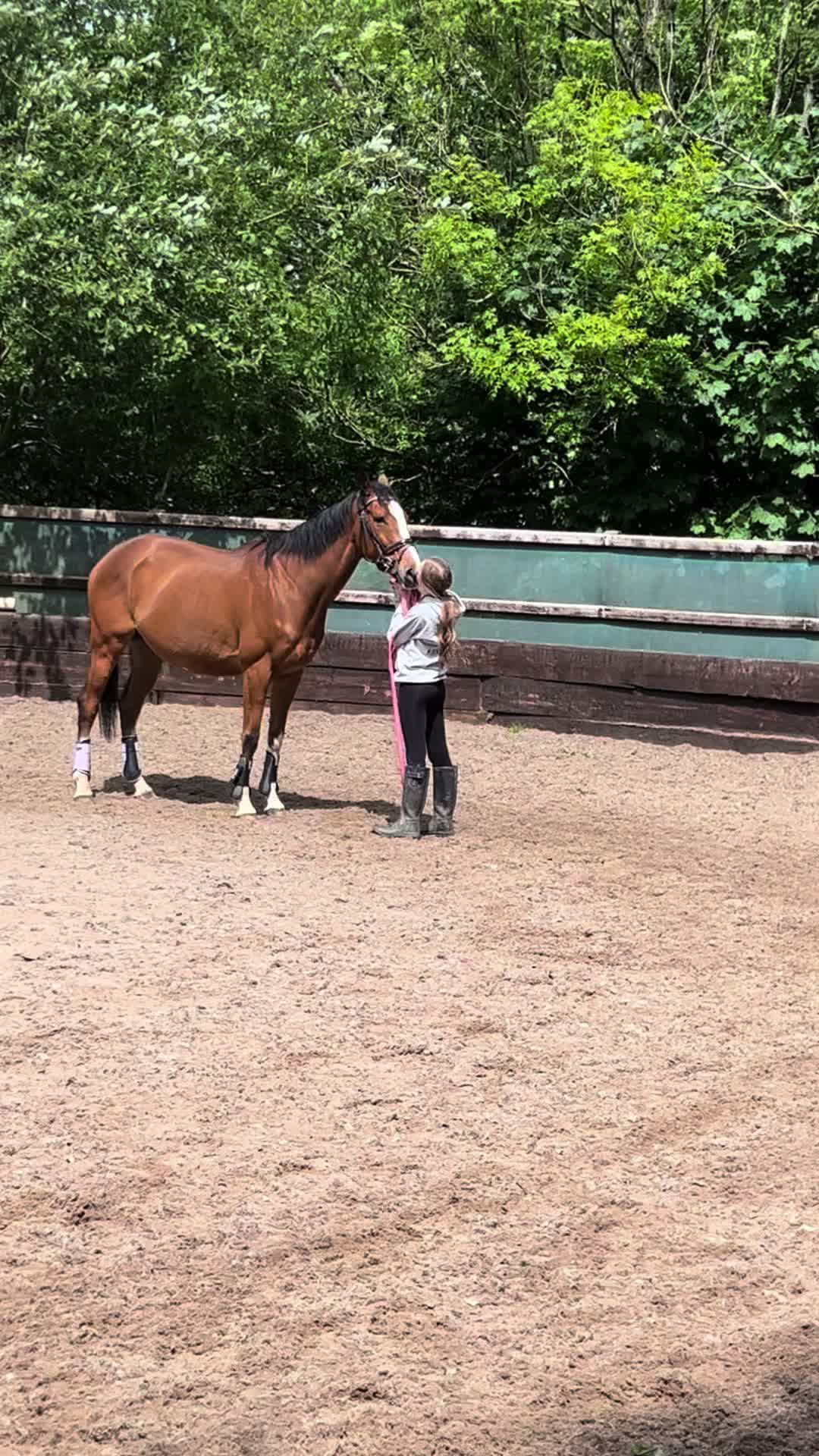 @poppy🐴 🇬🇧