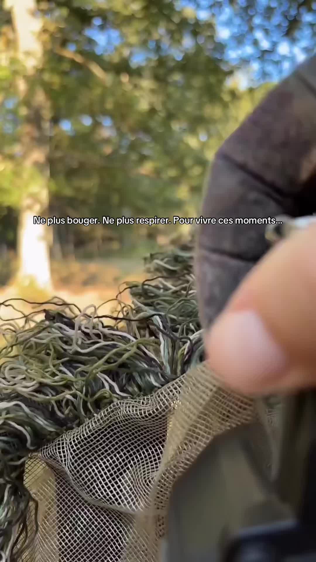 @Axel Wildlife