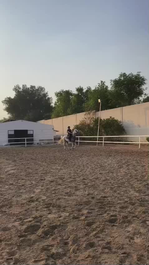 @Bassant El Dowaik