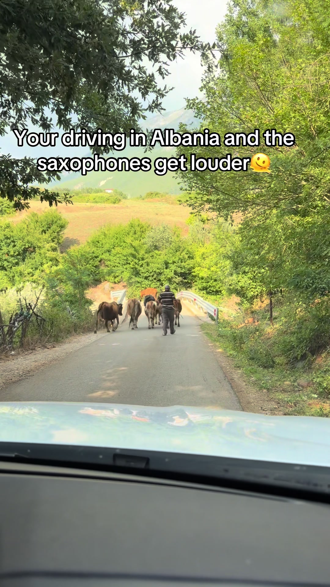 @Laila🇦🇱🇮🇷