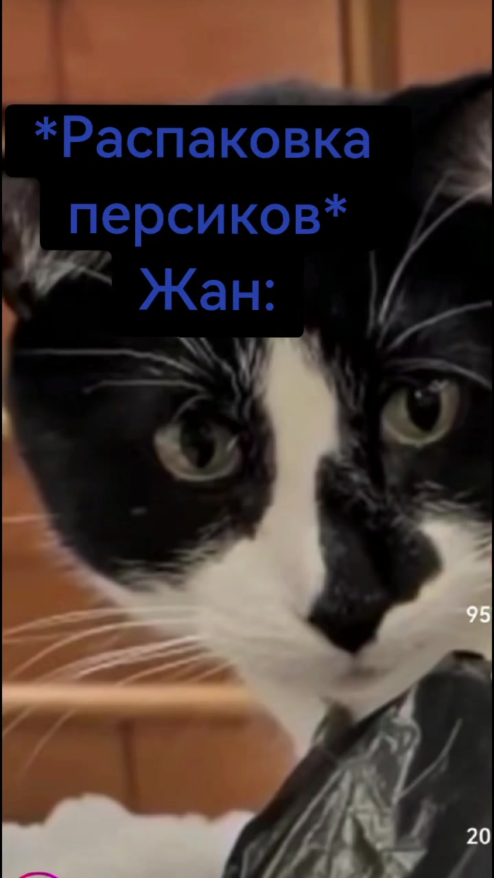@chauder33