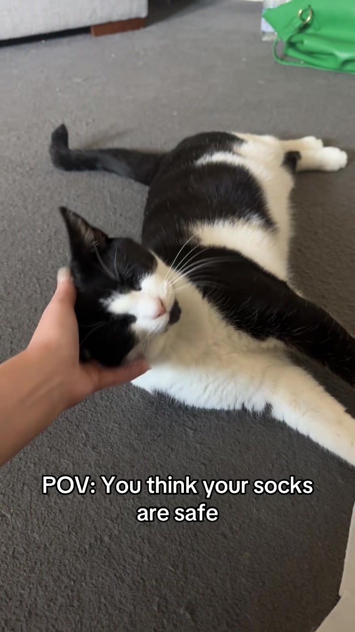 @Paigeyy