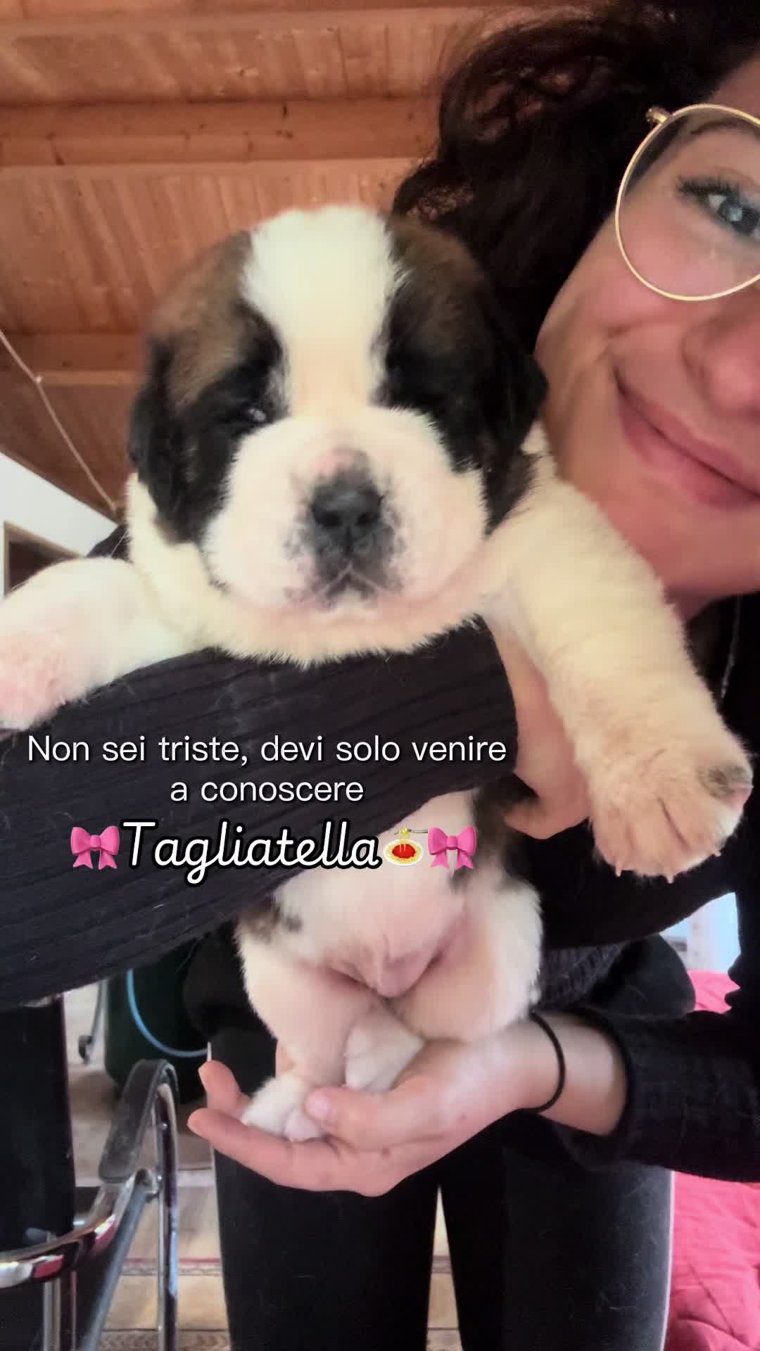 @Allevamento Piccolo Paradiso
