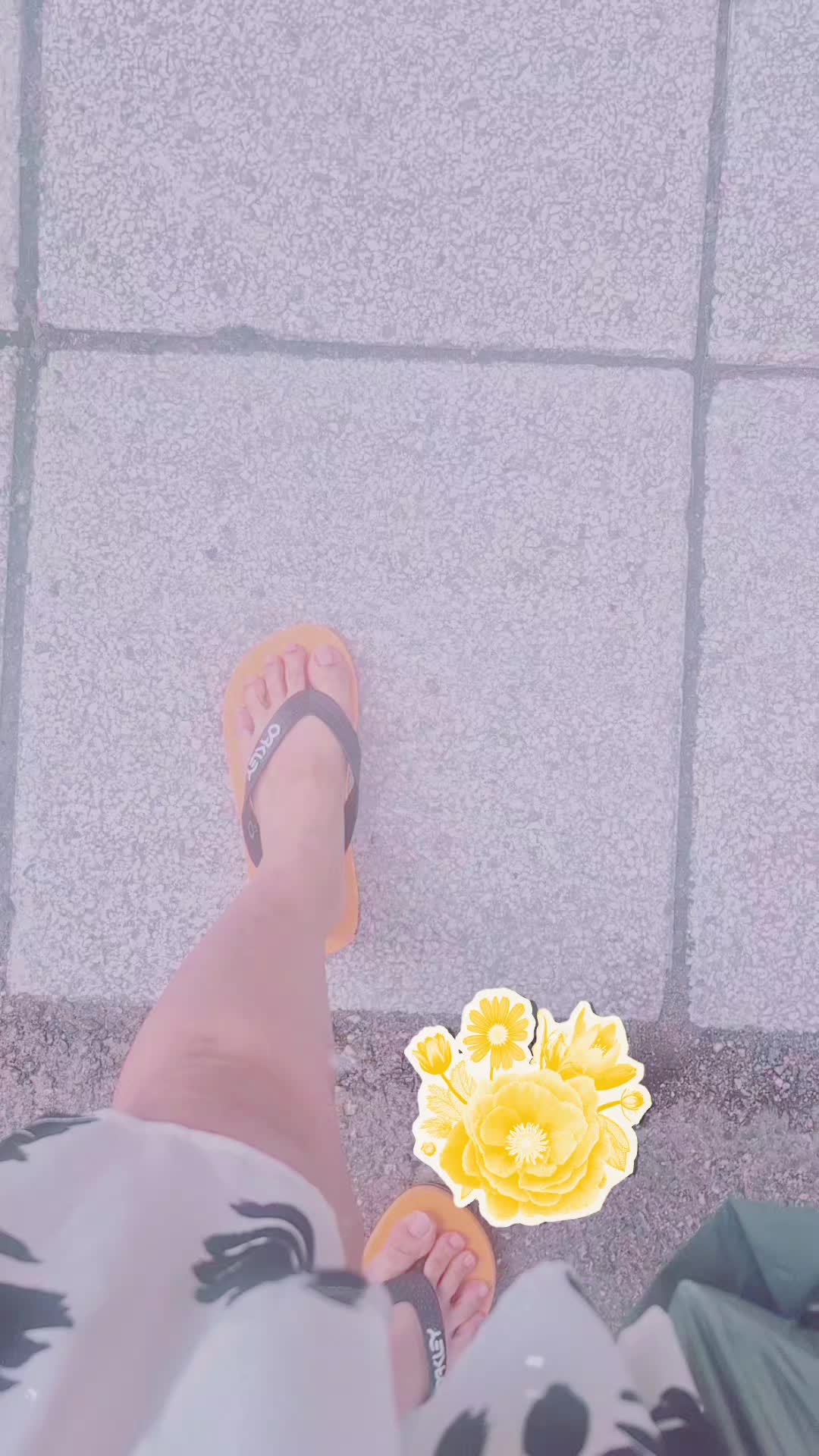 @🪺💛 Prettycutez 💛🪺