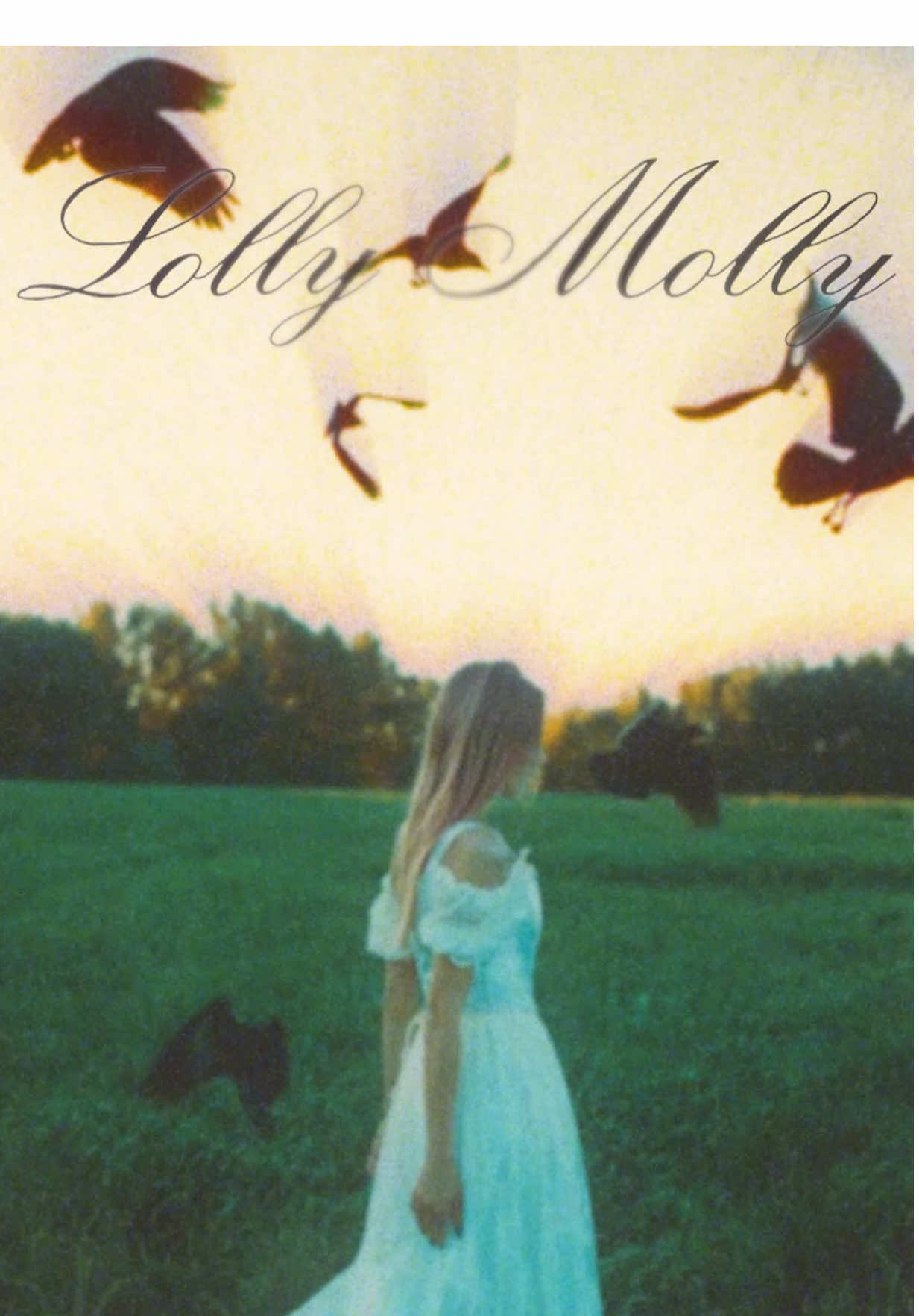 @Lolly Molly