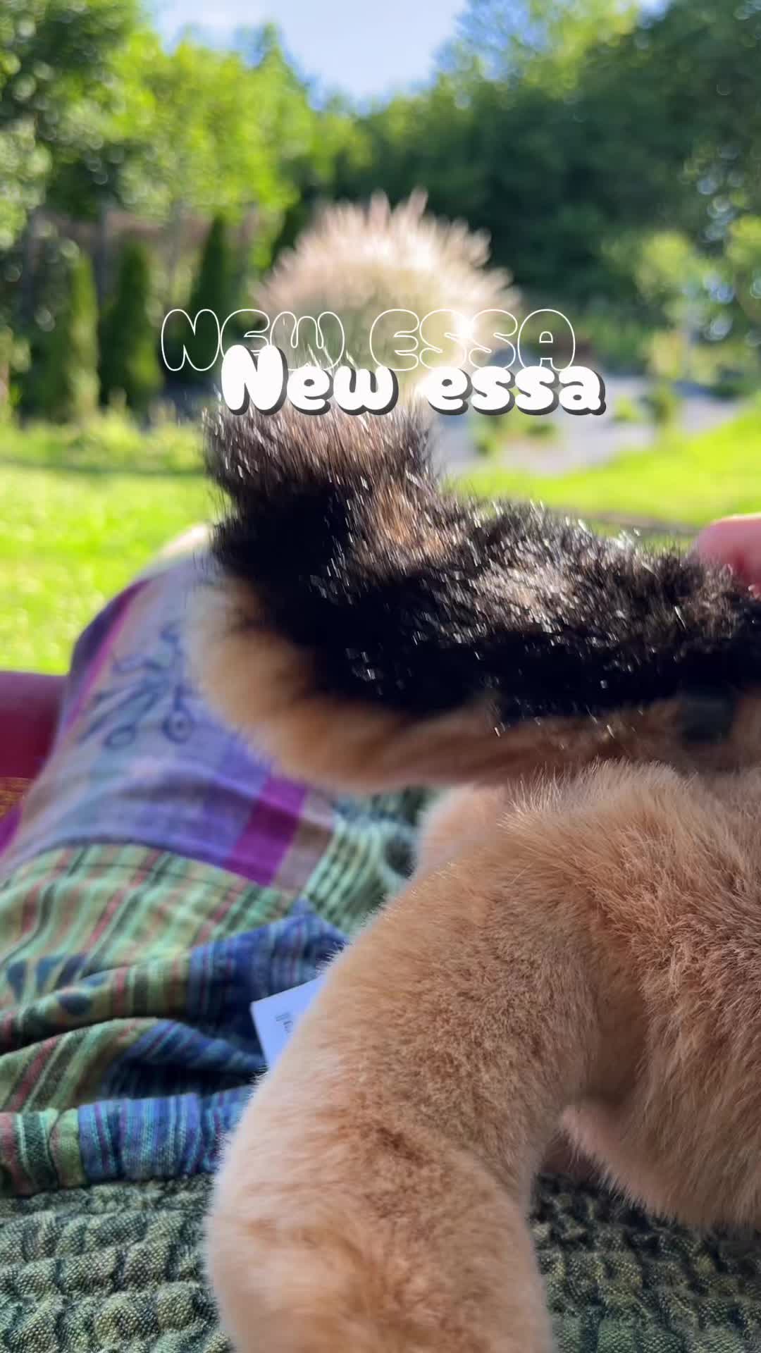 @🌱★~essa and dssa~★🌱