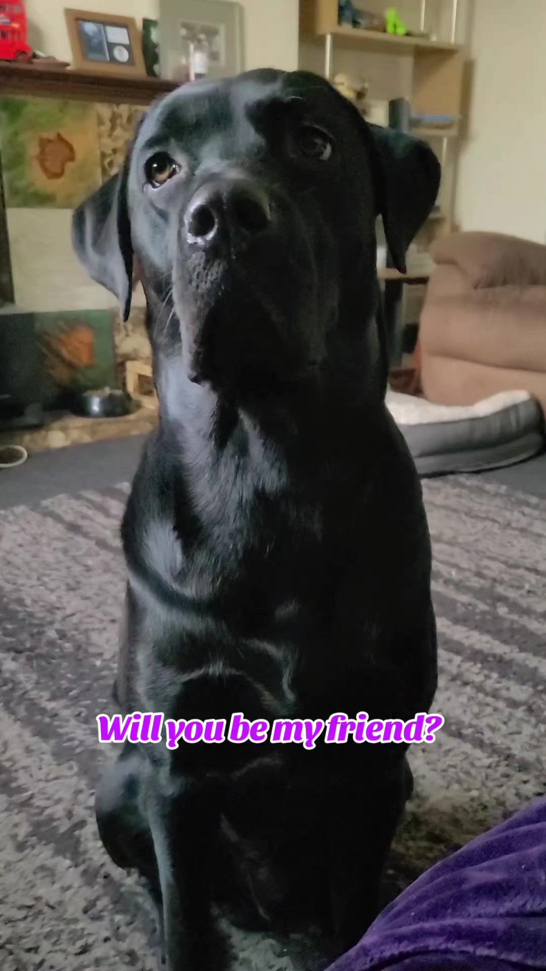 @🐾That Handsome Bandit 🐾