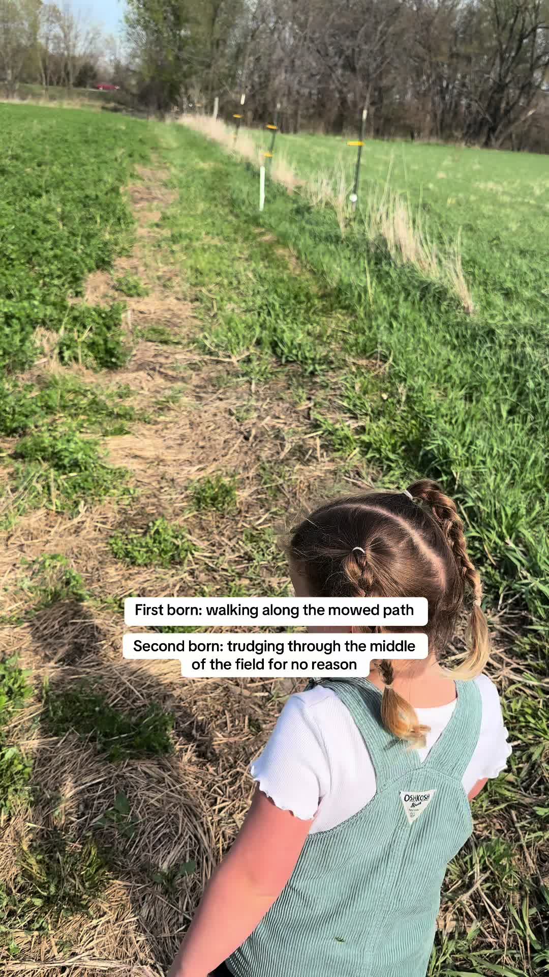 @Chelsea Jo | SUNNY ACRES