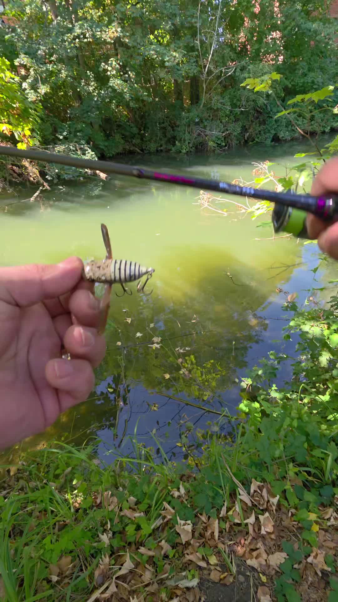 @BF Angler