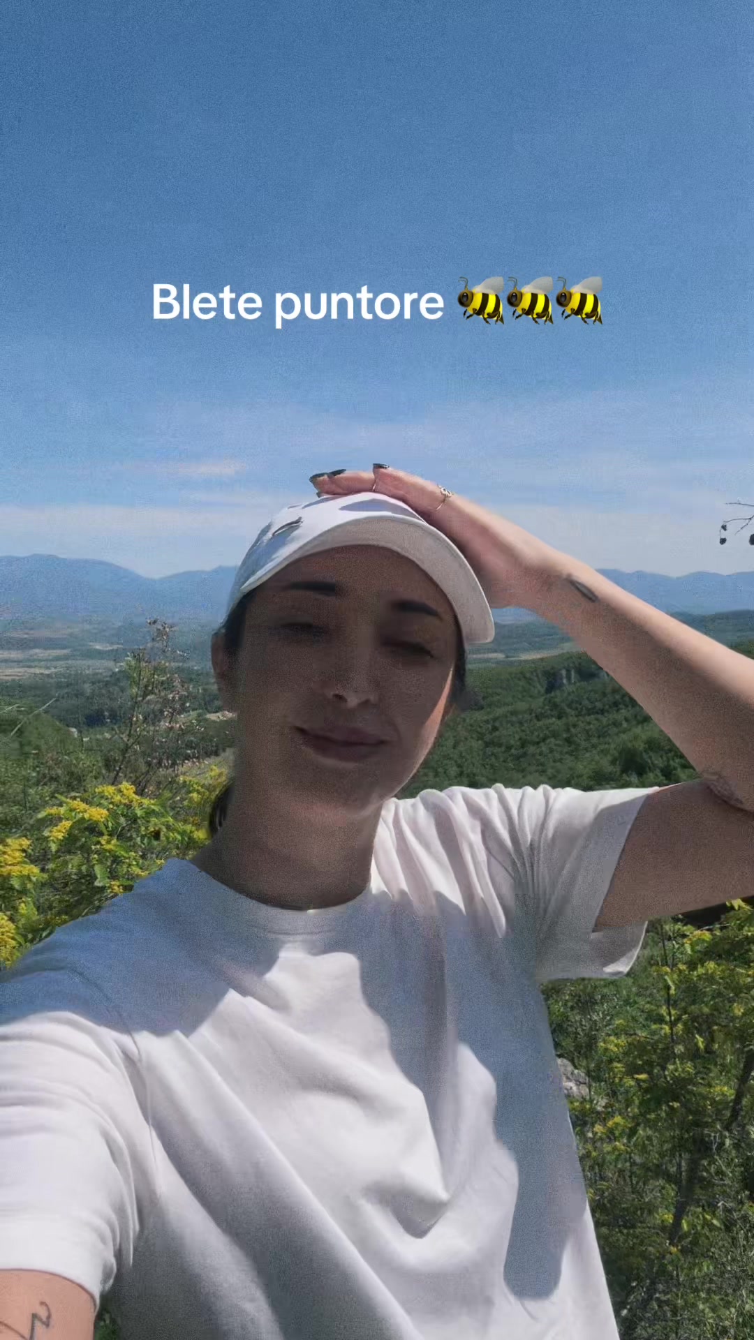 @lorihoxha