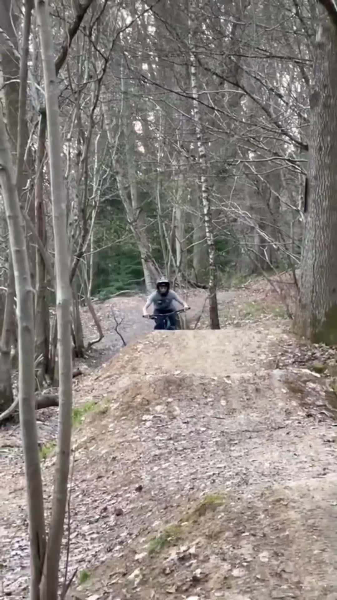 @StefanoM🔱