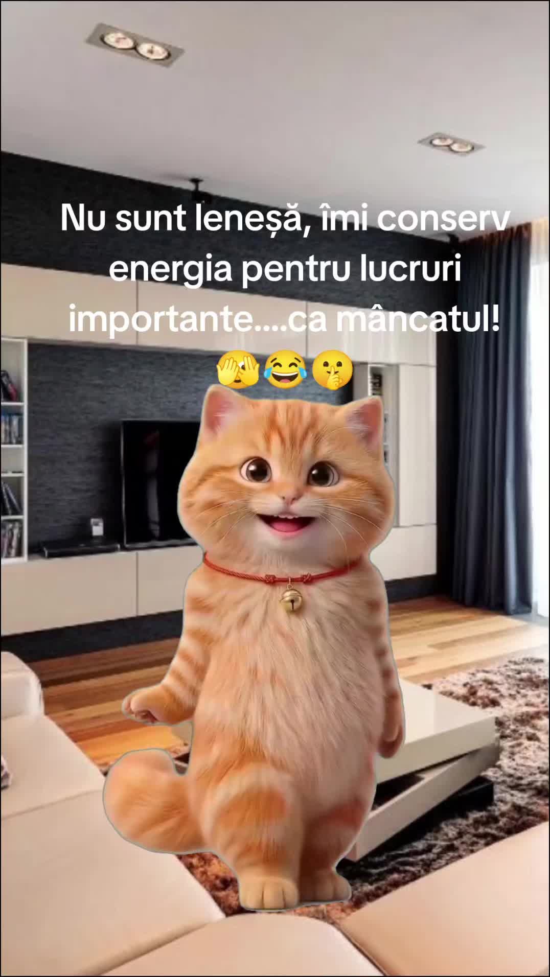@Carmen Buhinschi