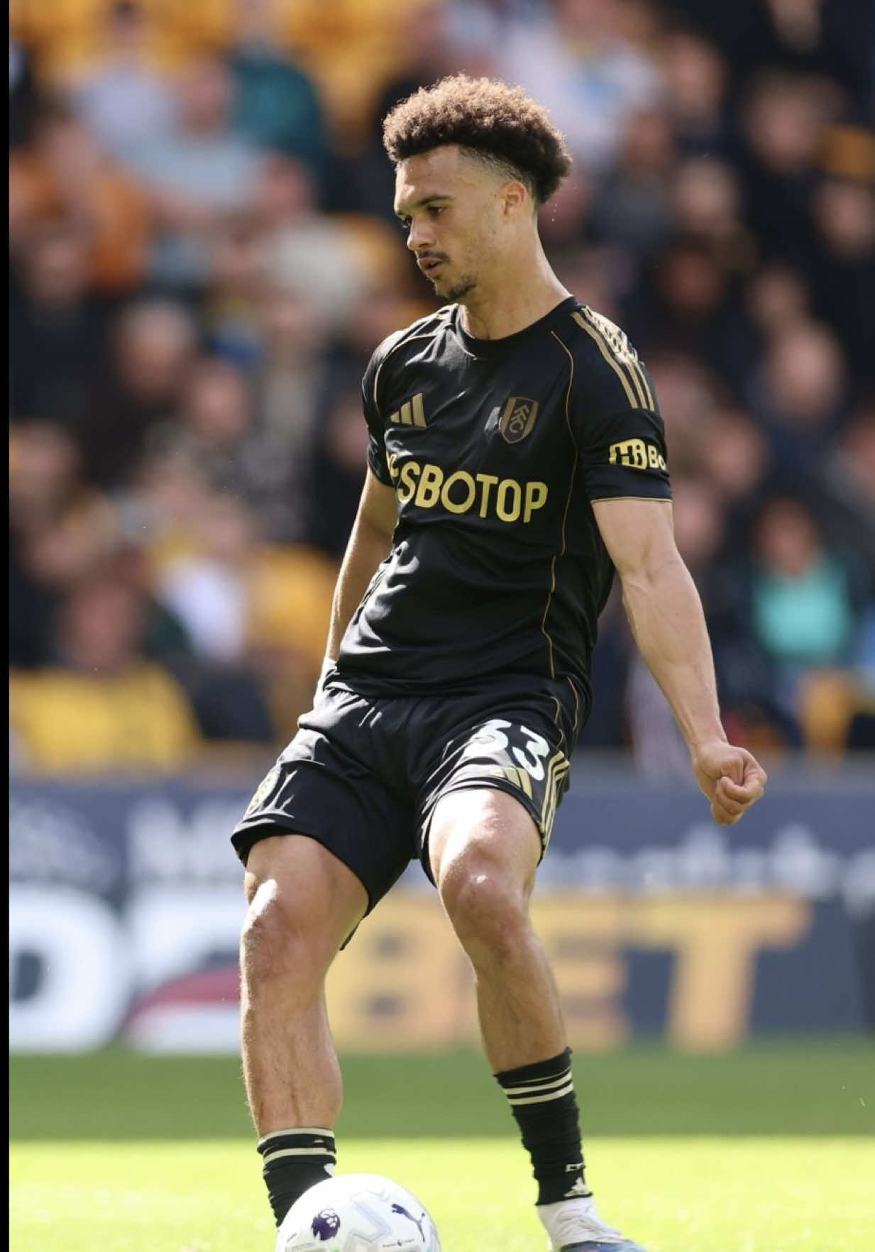 @Fulham FC