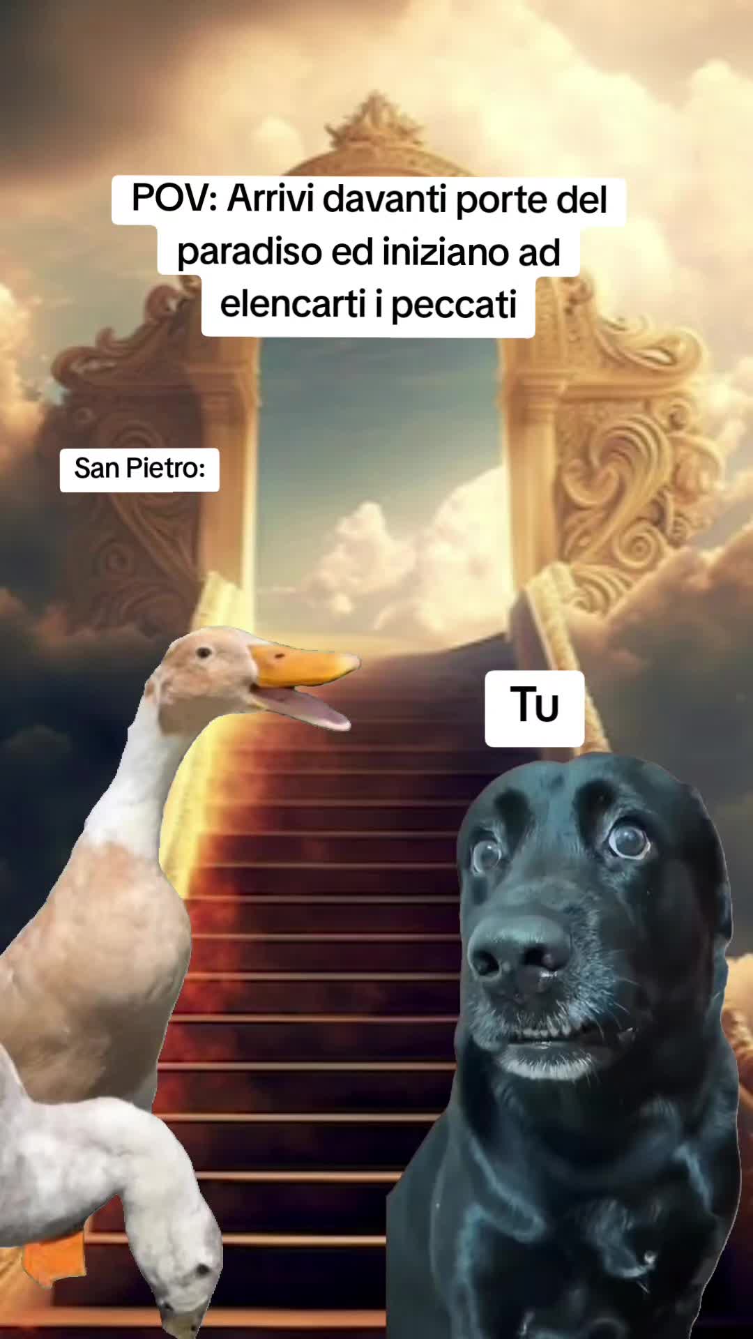 @Catzatte
