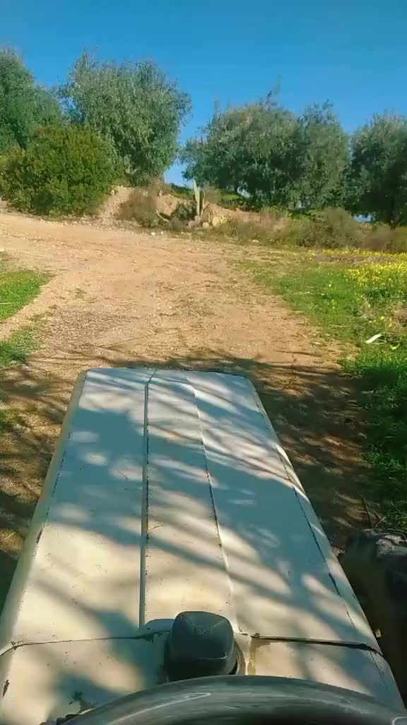 @Salvo66